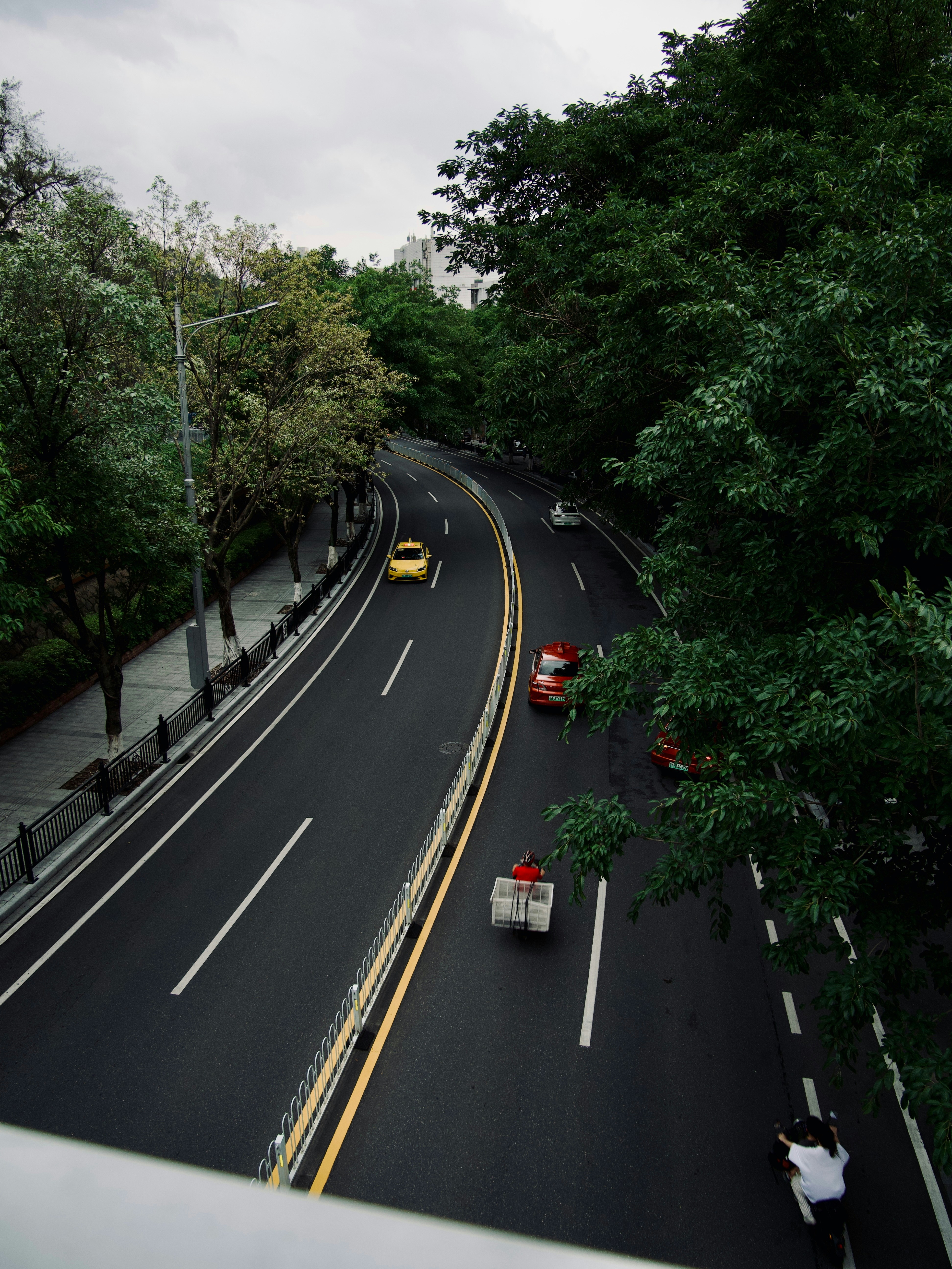 A winding road with cars amidst lush greenery.
