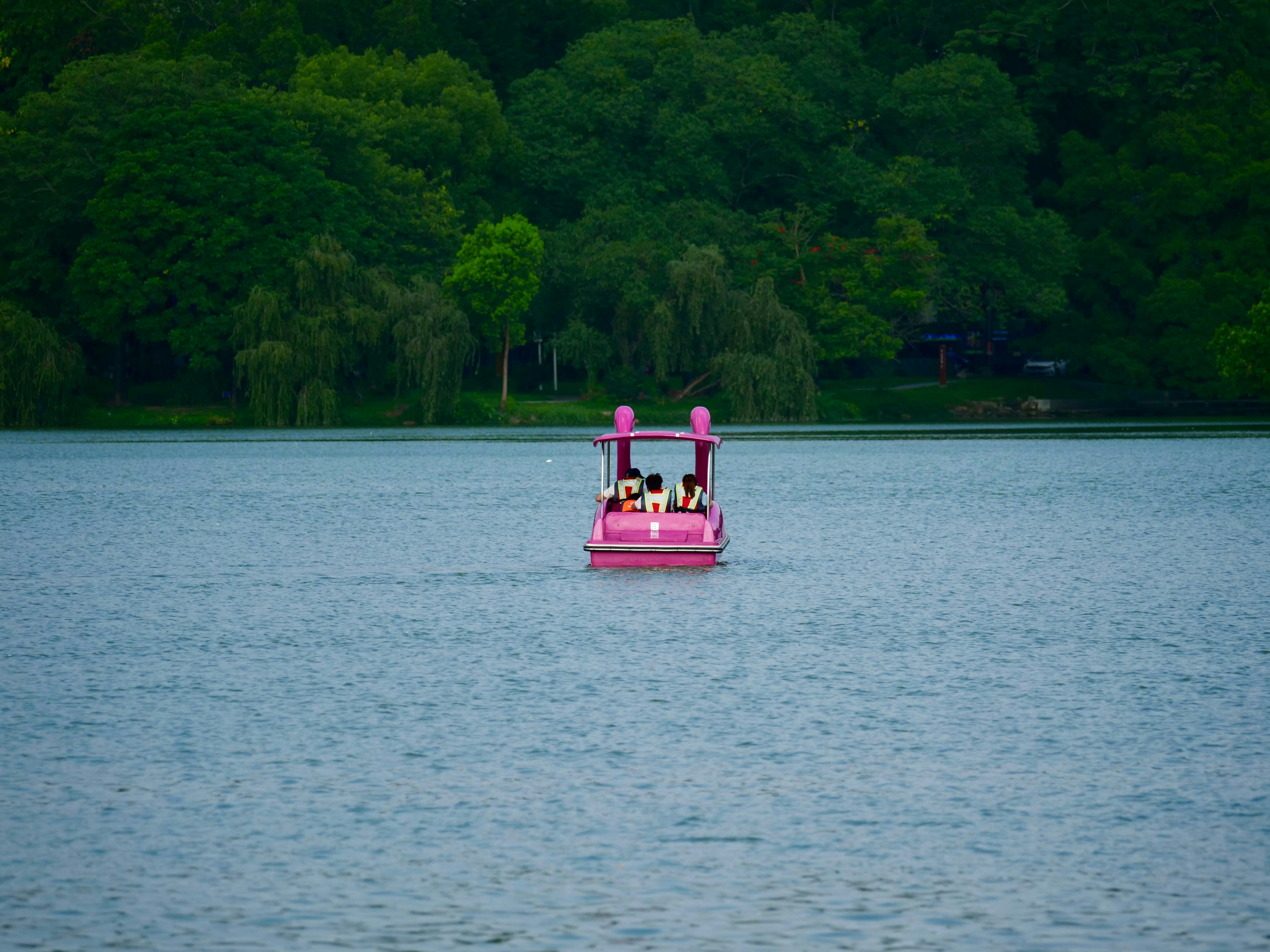 A pink pedal boat on a calm lake.