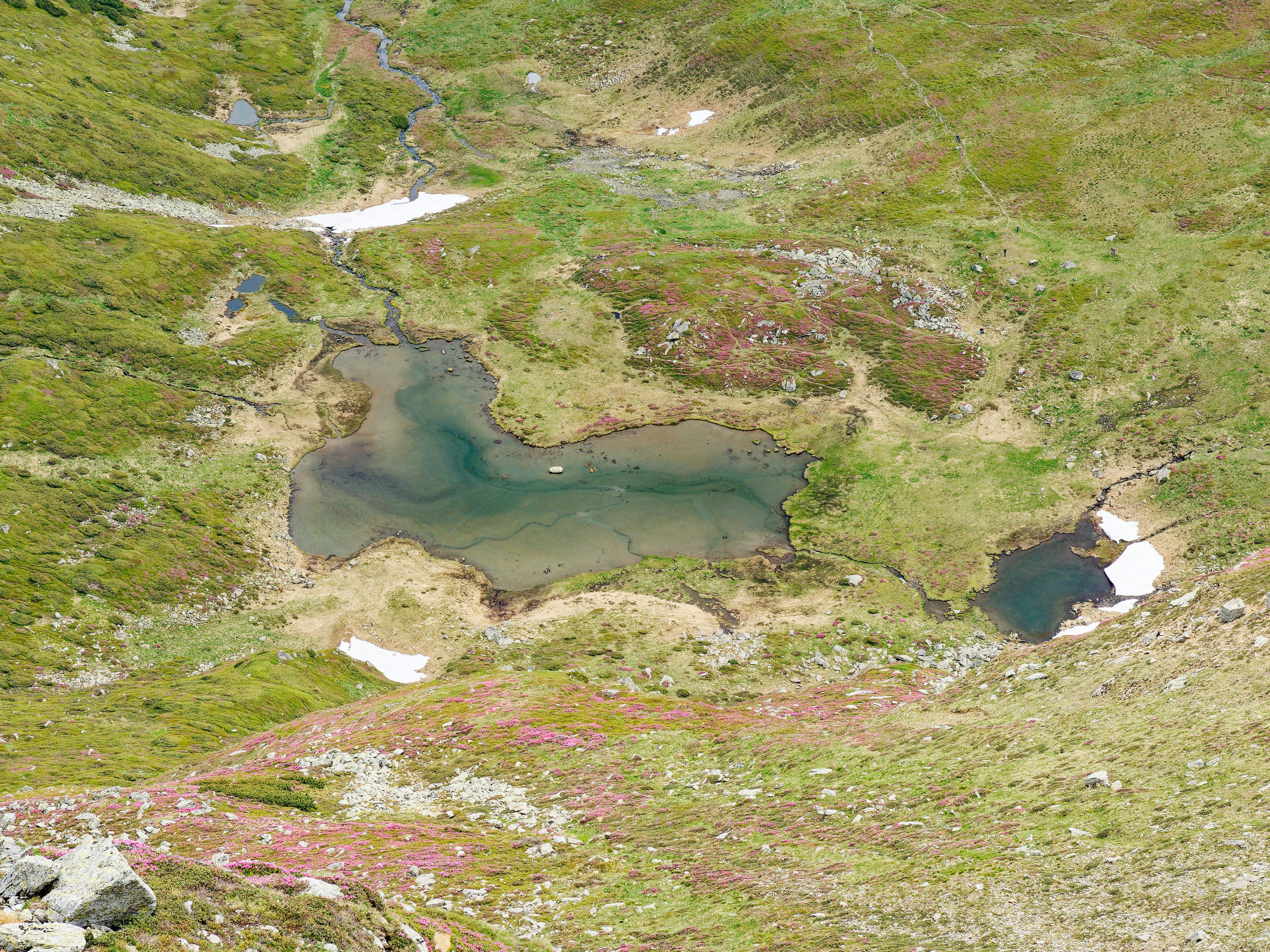 Photo by illes_cristi