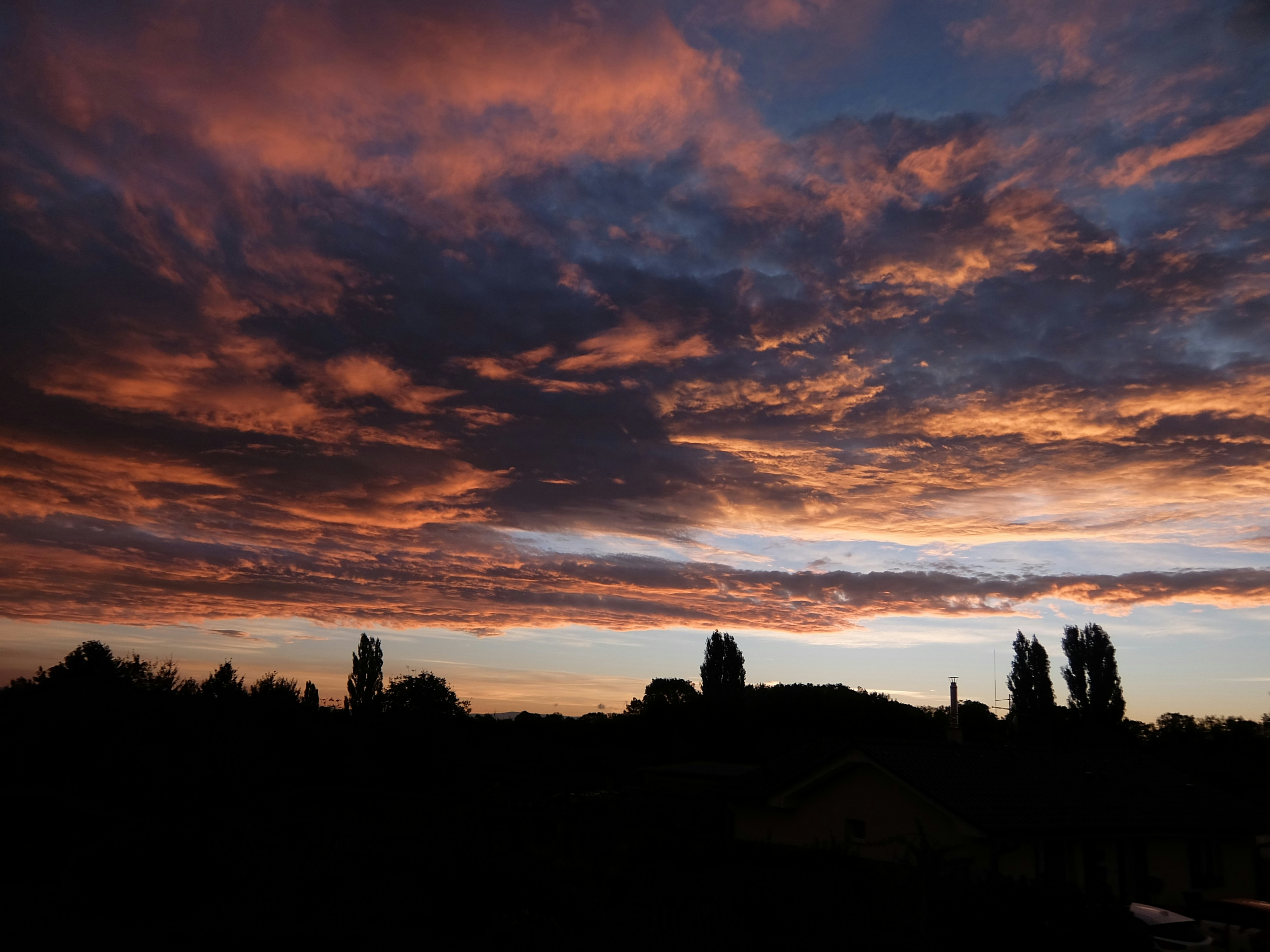 Photo by viktor_rejent