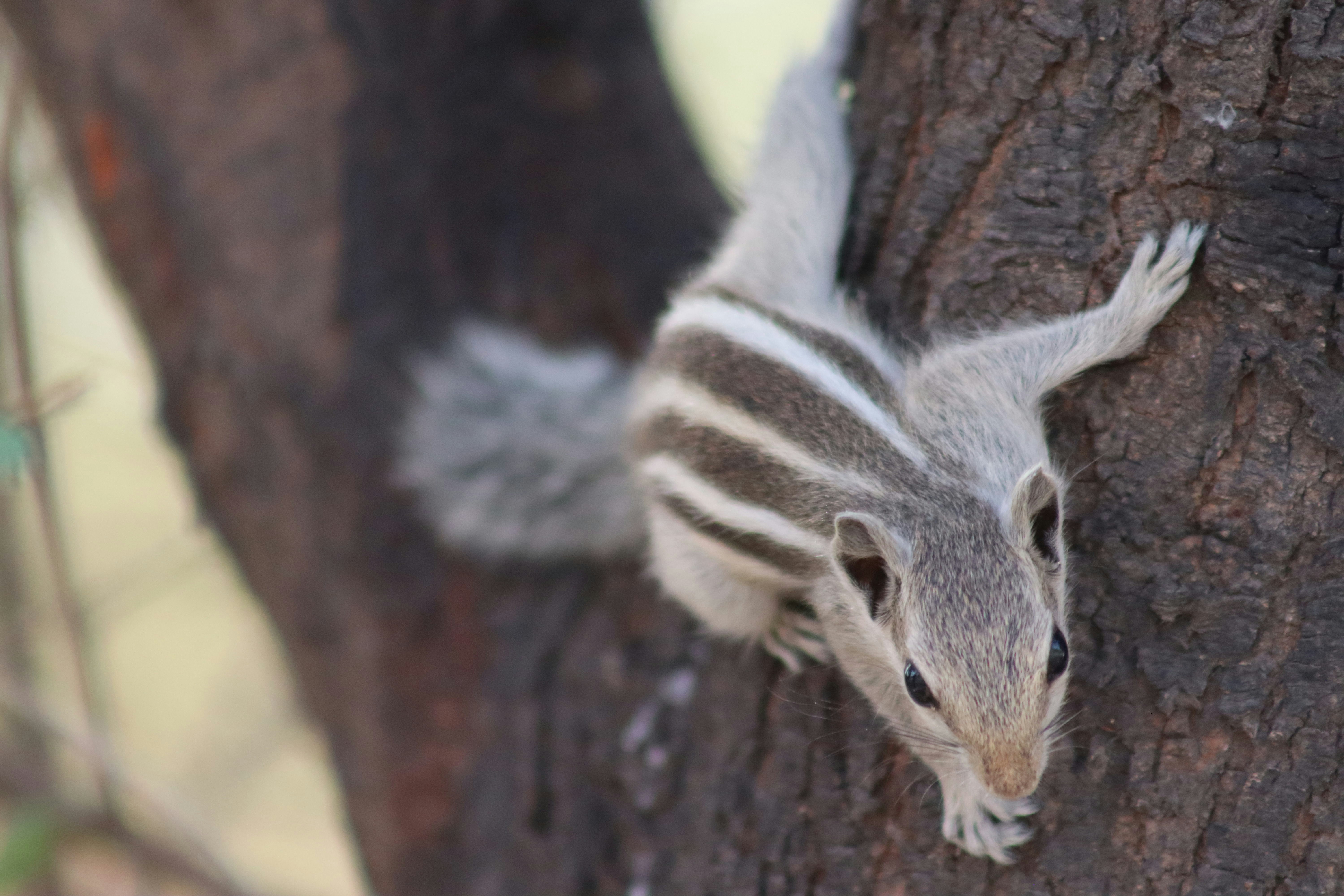 Photo by drphotographer152