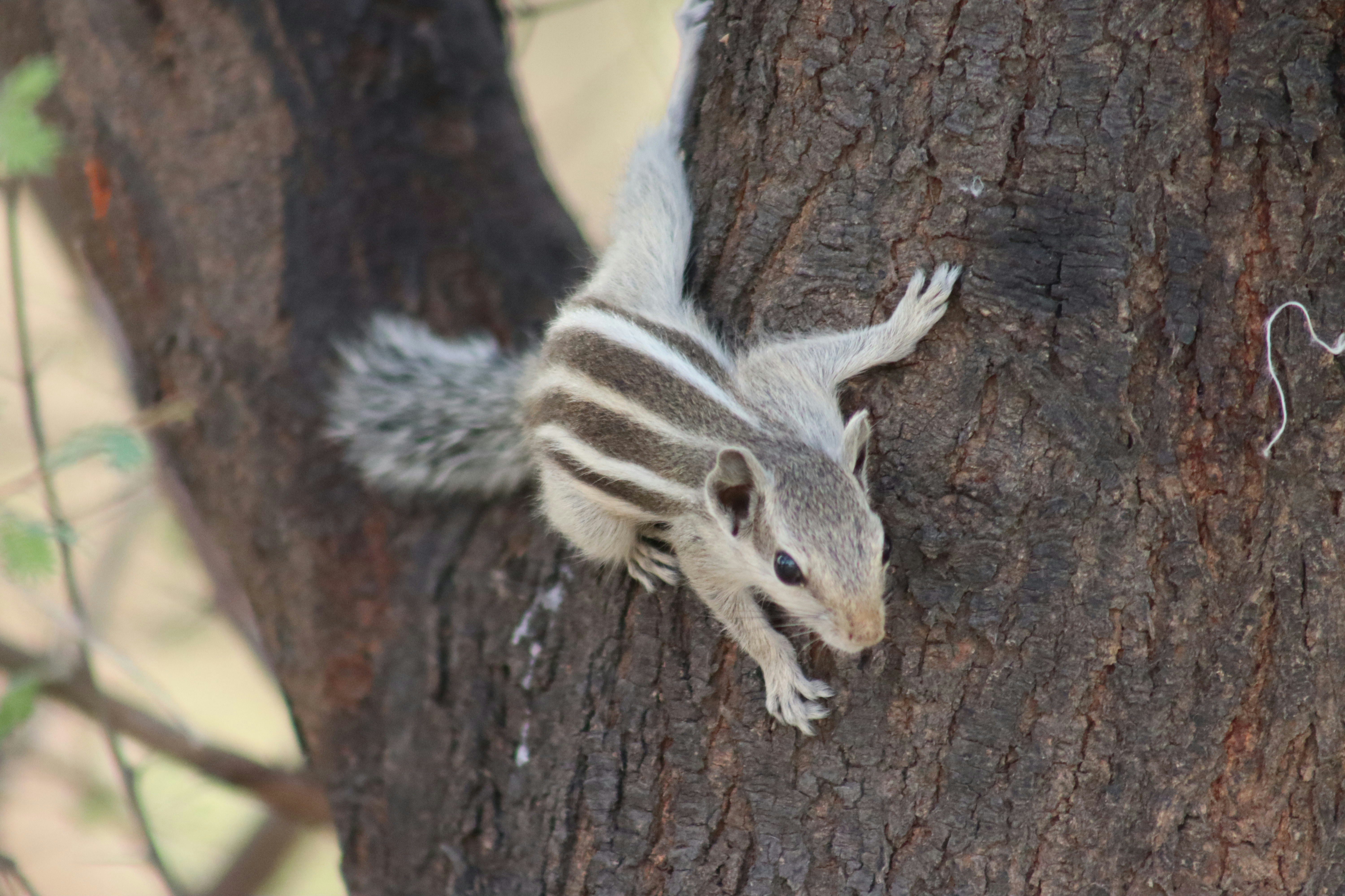 Photo by drphotographer152