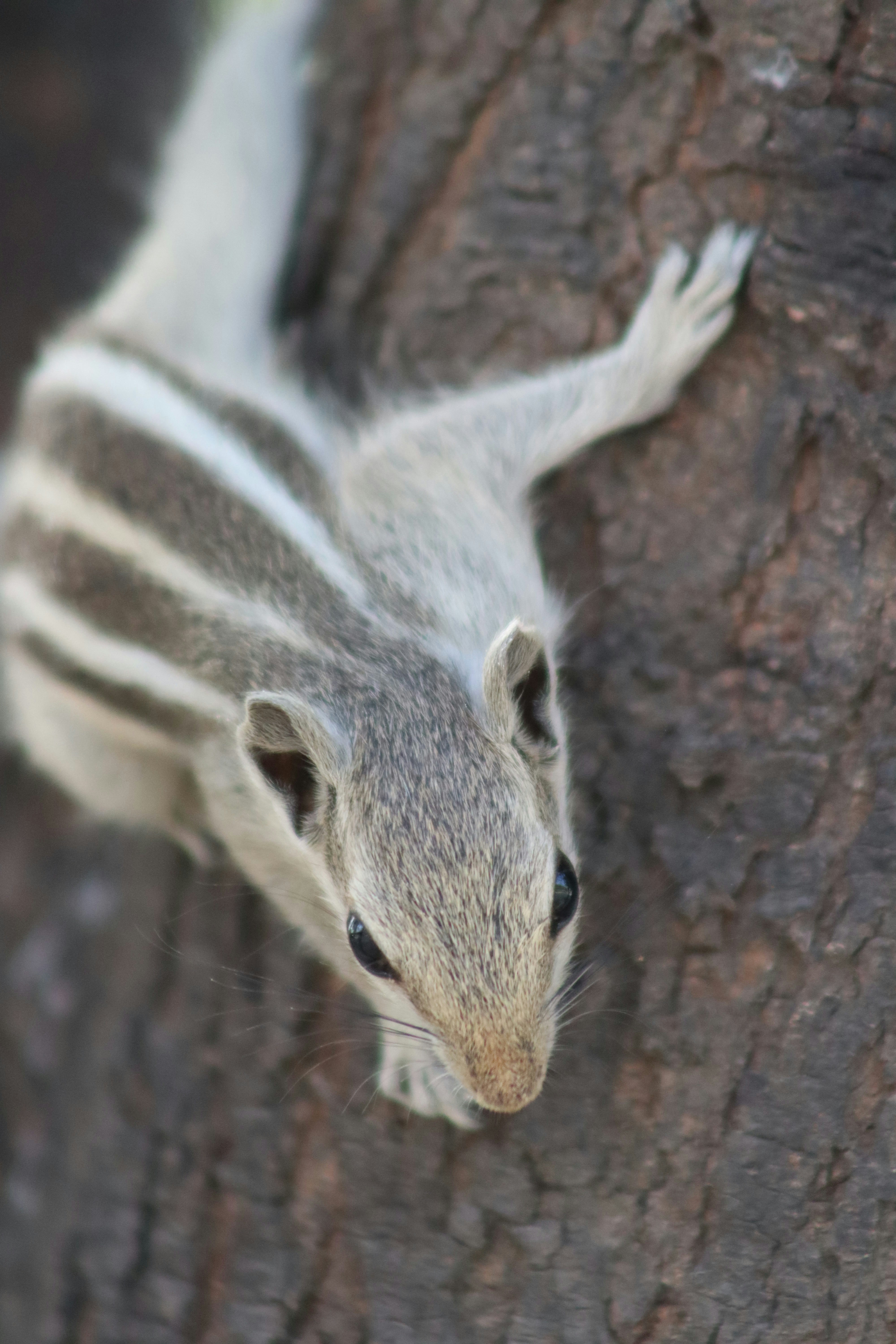 Photo by drphotographer152