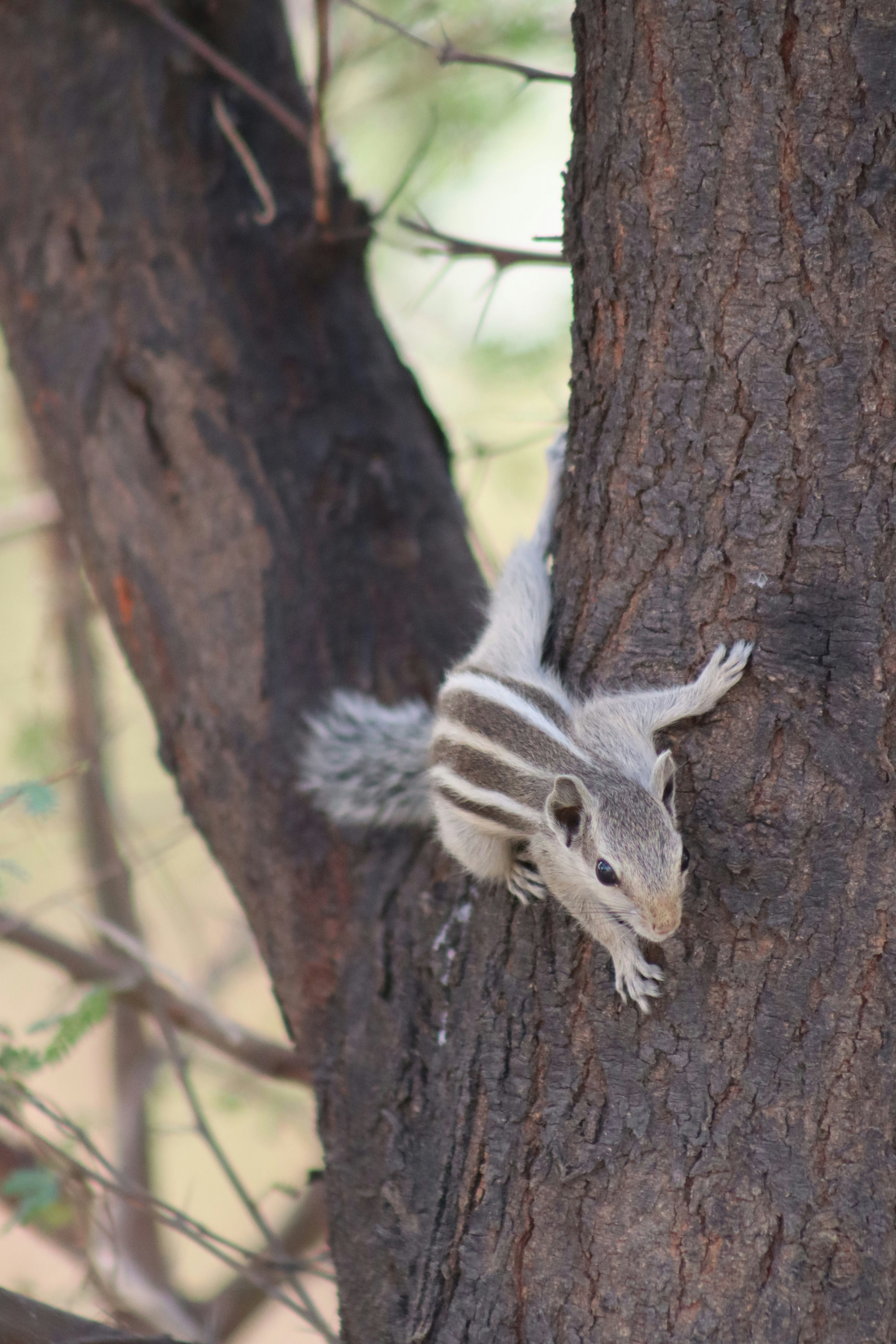 Photo by drphotographer152