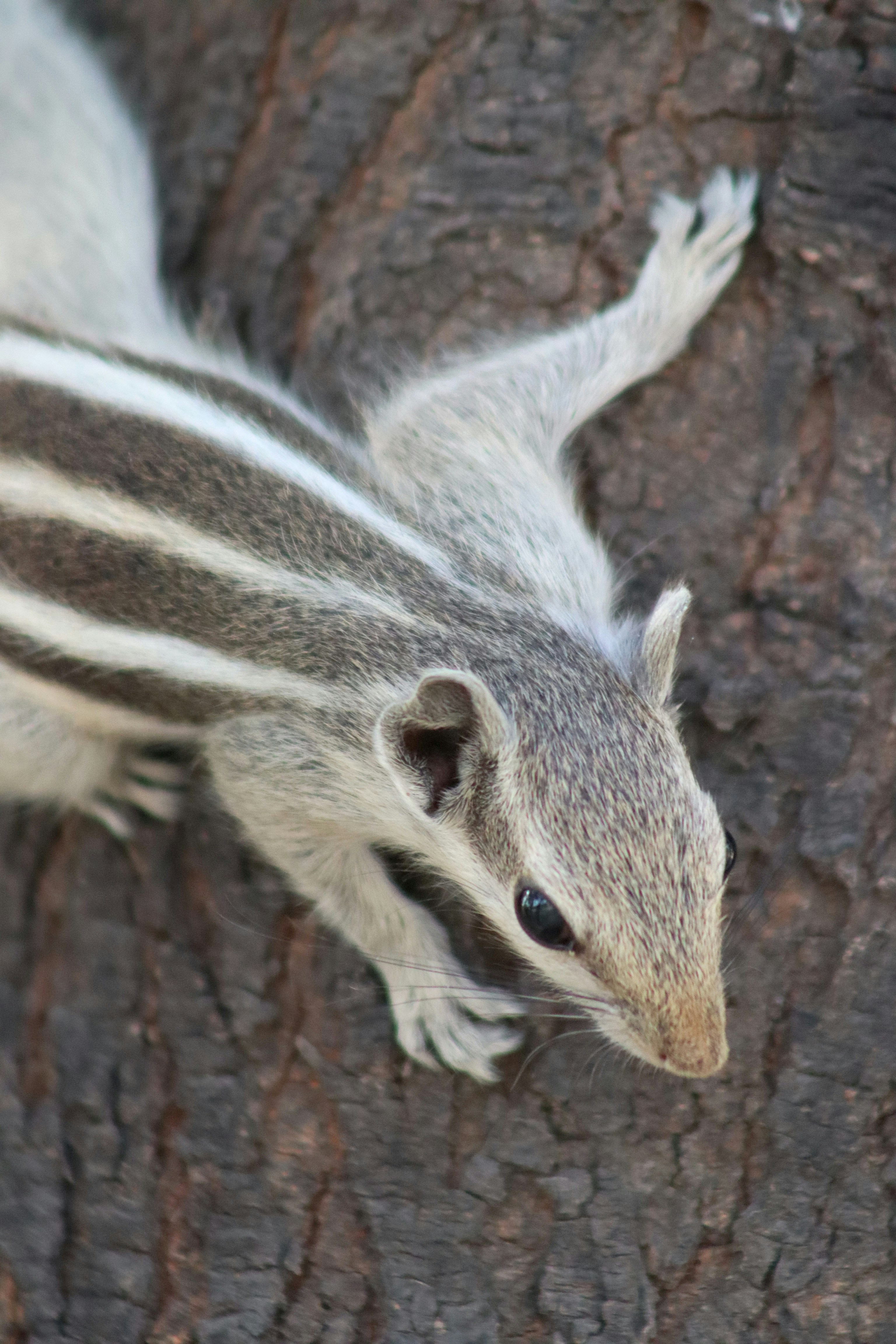 Photo by drphotographer152