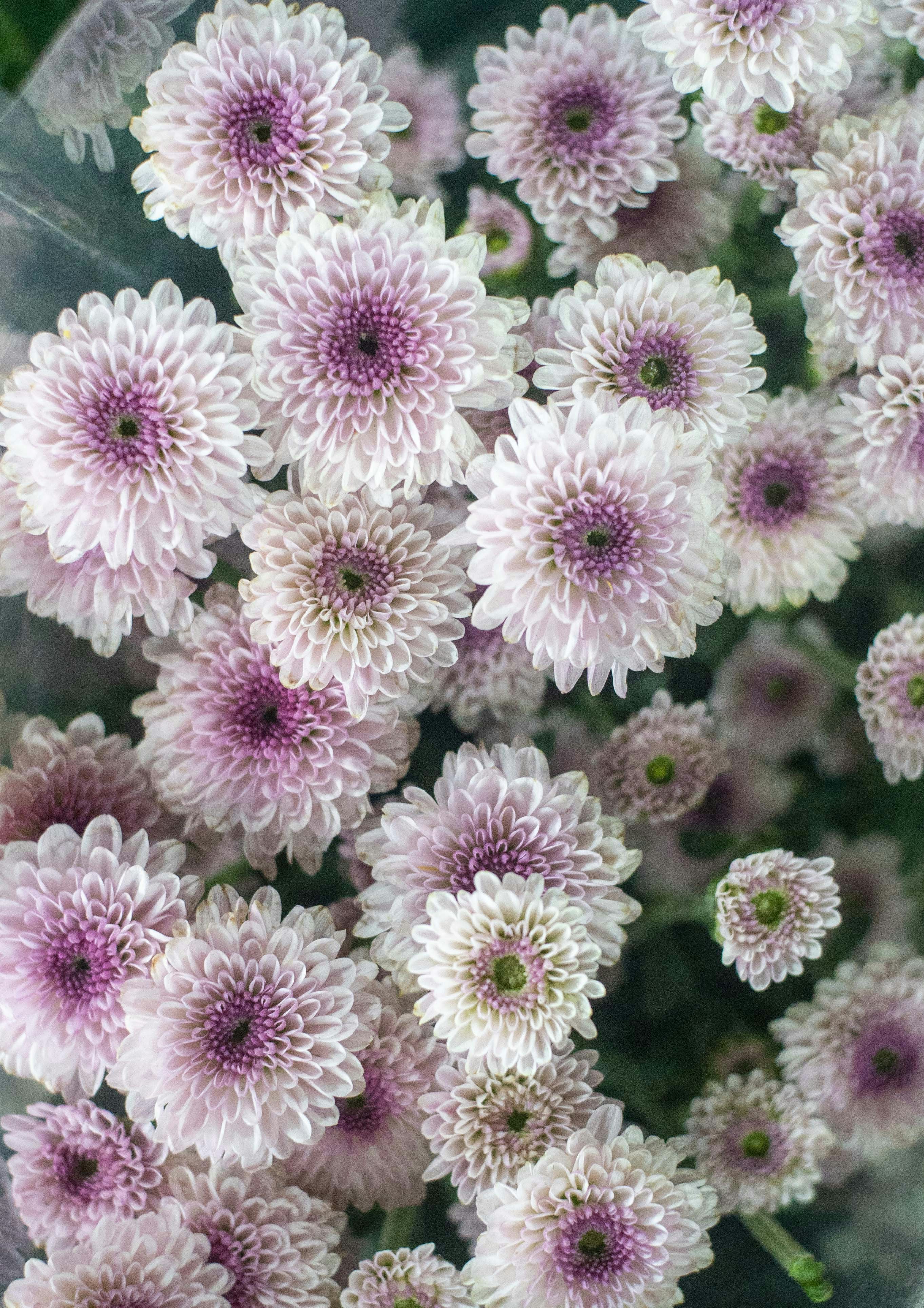 Photo by abhishektirkey