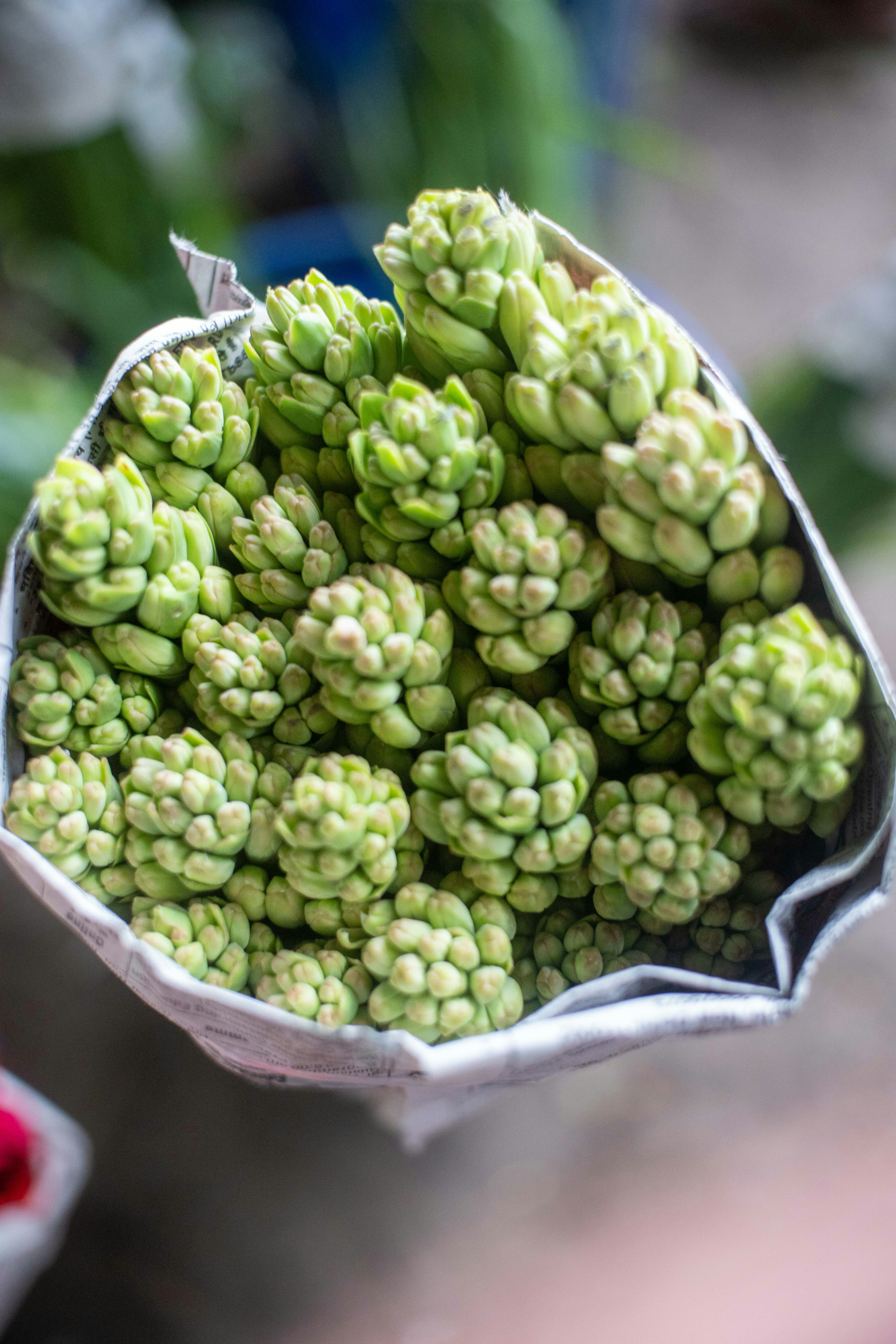 Photo by abhishektirkey