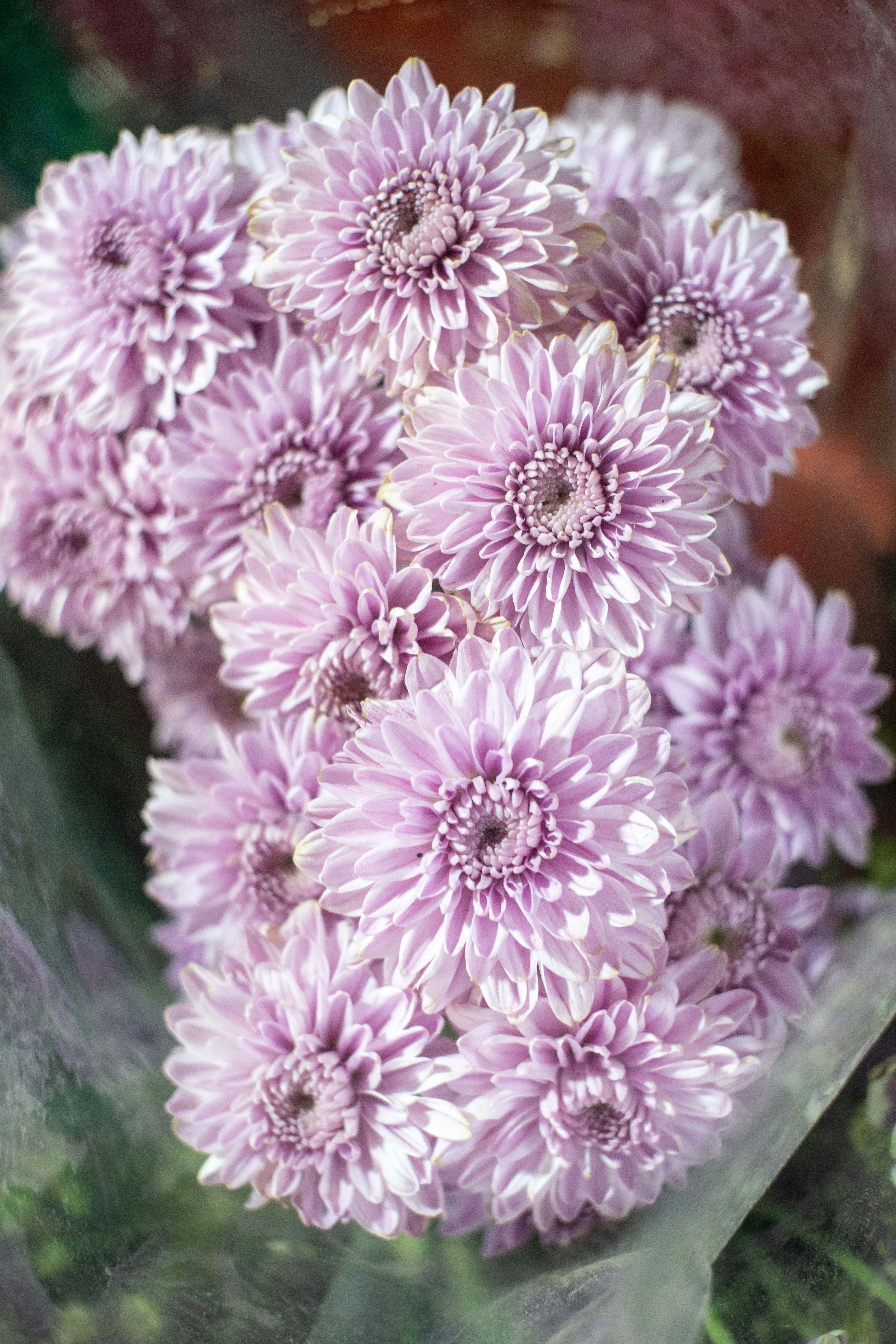 Photo by abhishektirkey