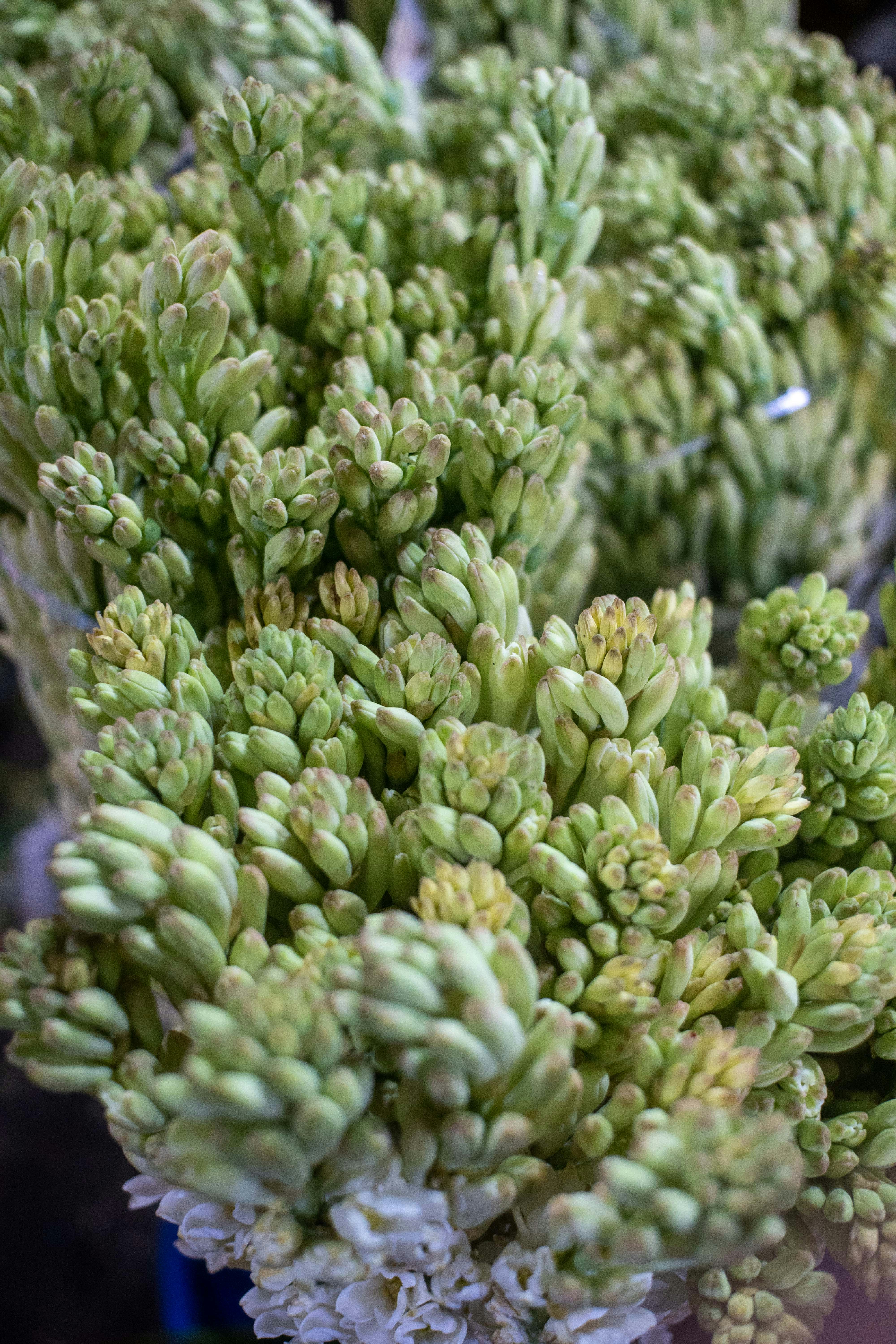 Photo by abhishektirkey