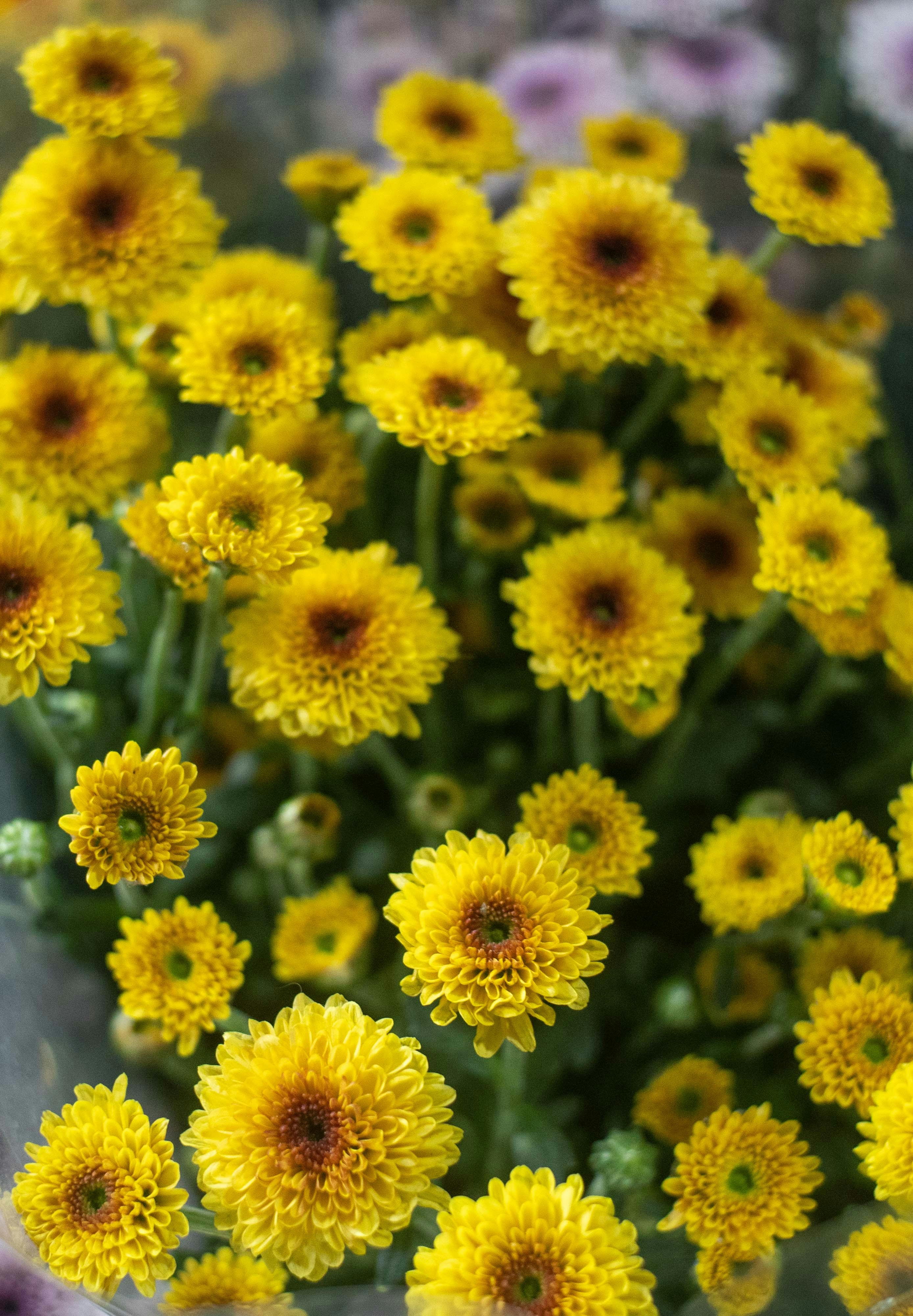 Photo by abhishektirkey