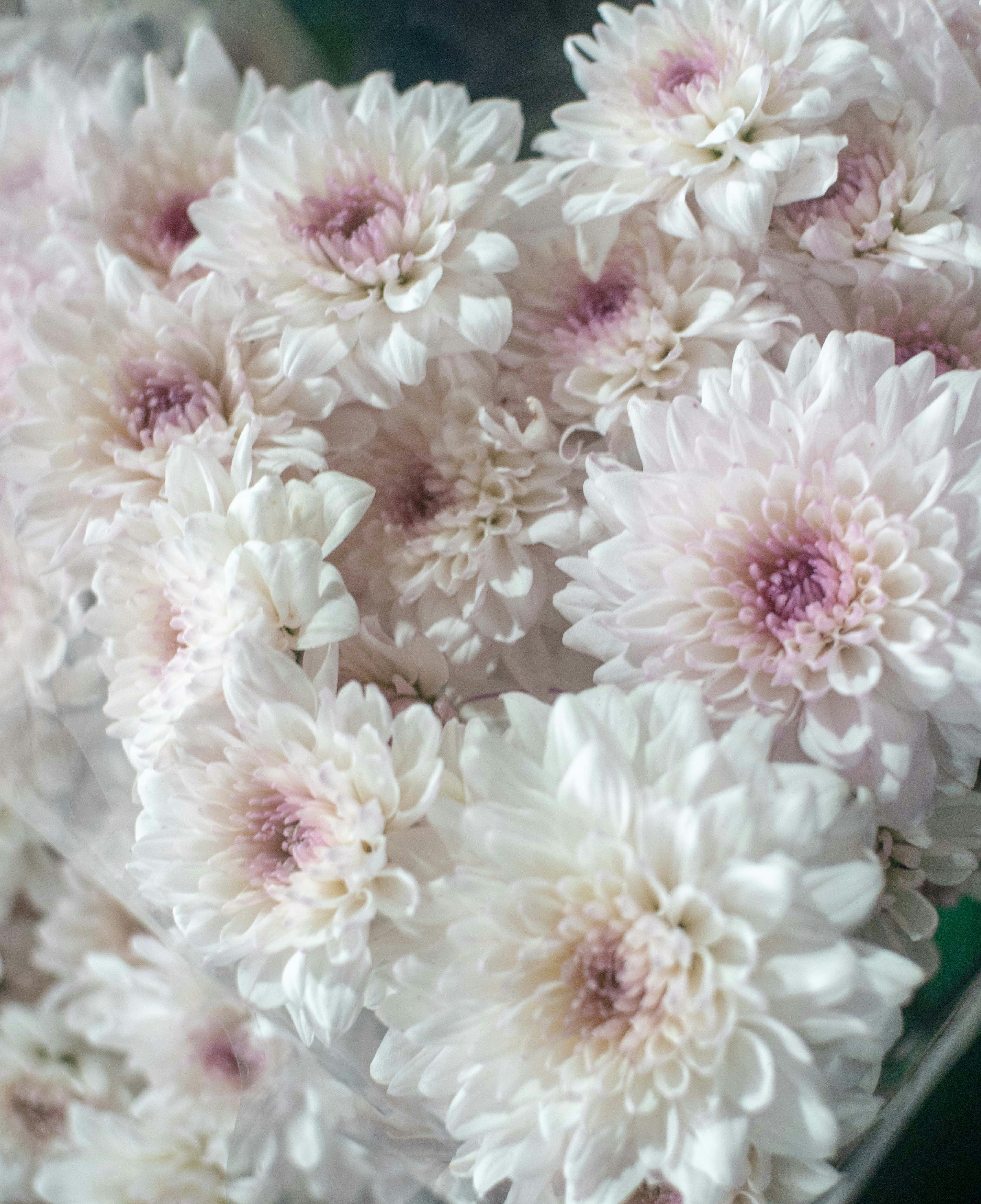 Photo by abhishektirkey