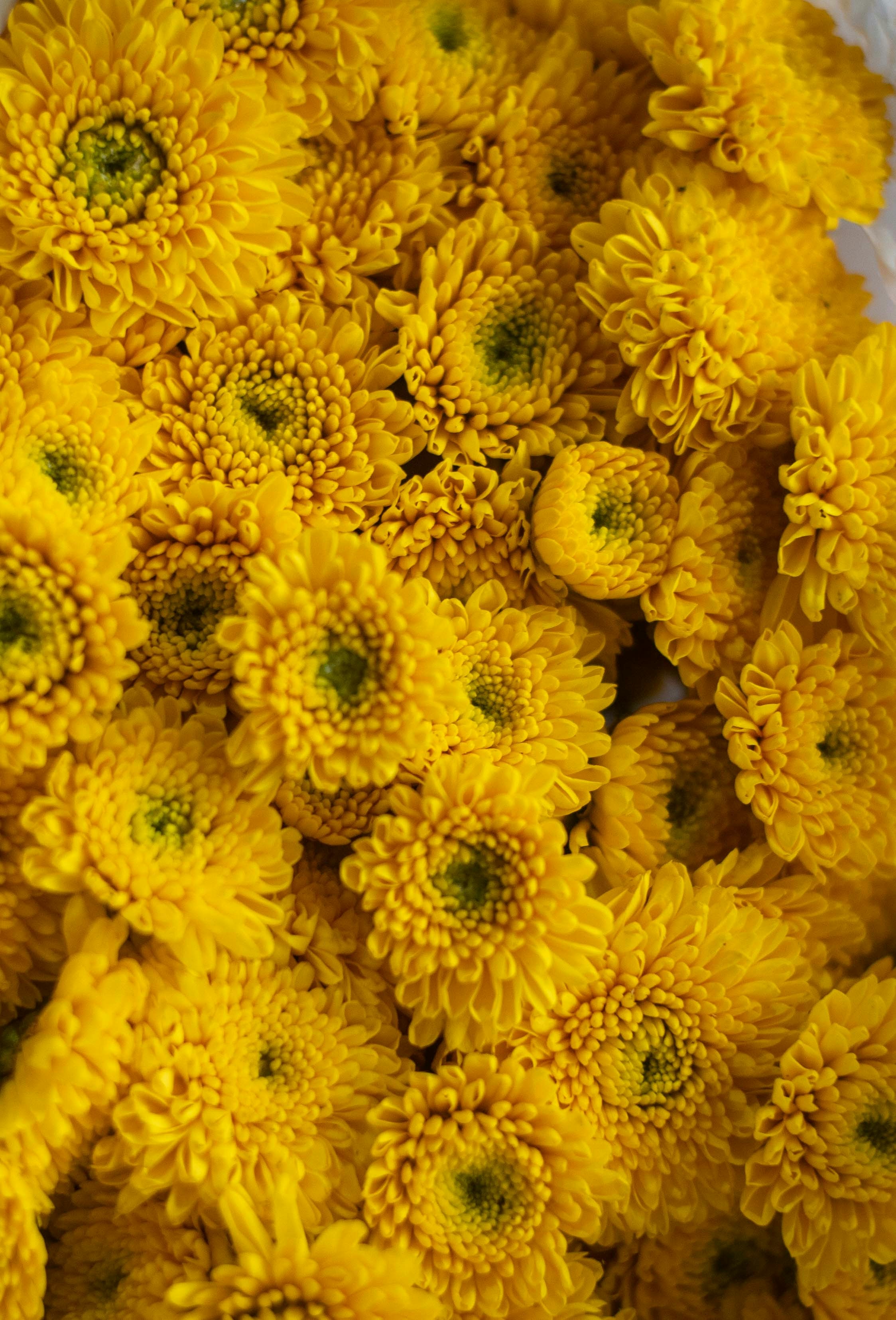 Photo by abhishektirkey