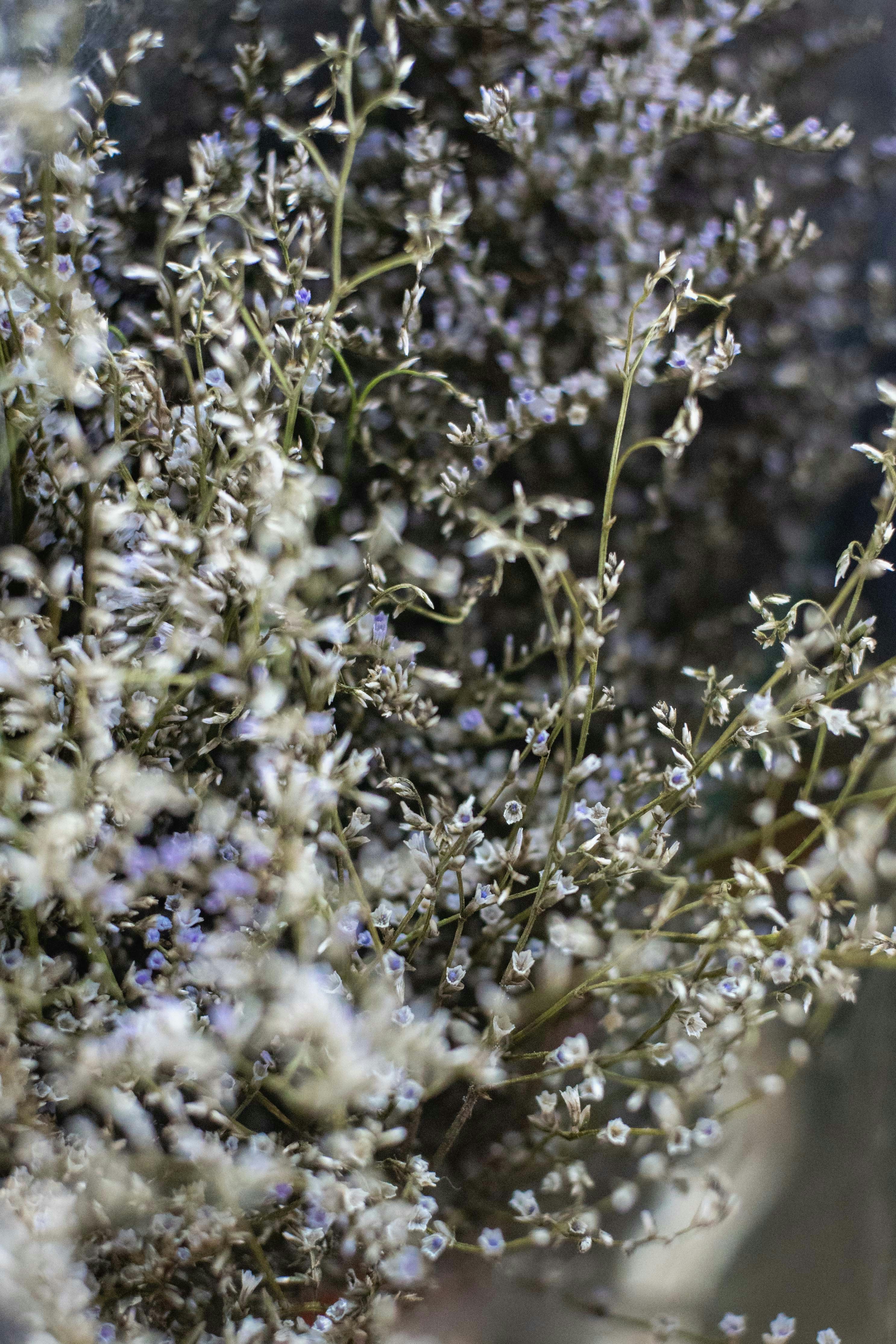 Photo by abhishektirkey