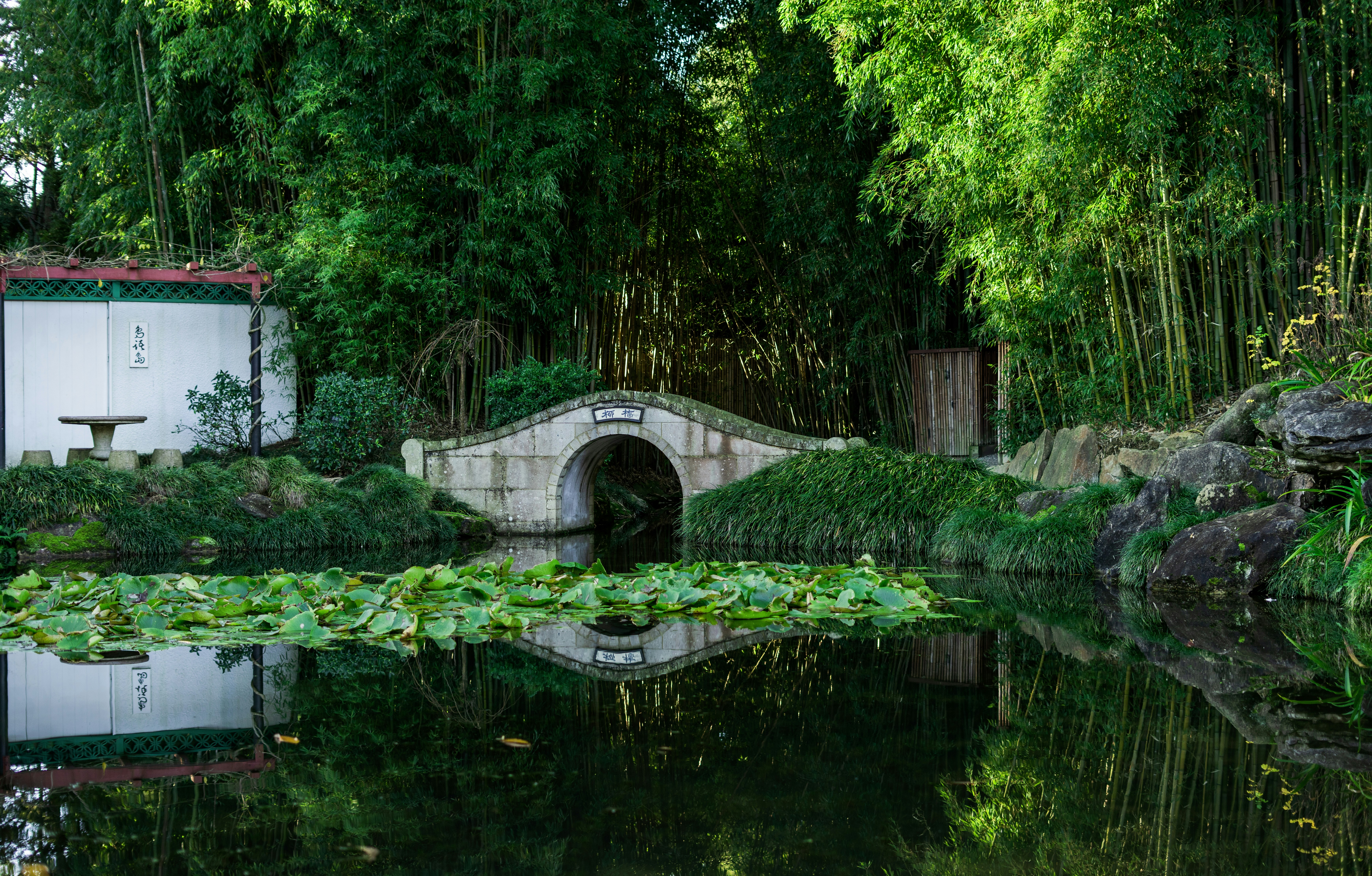 Photo by countingframez