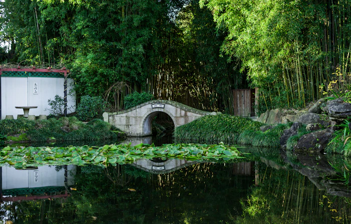 Hidden Attractions