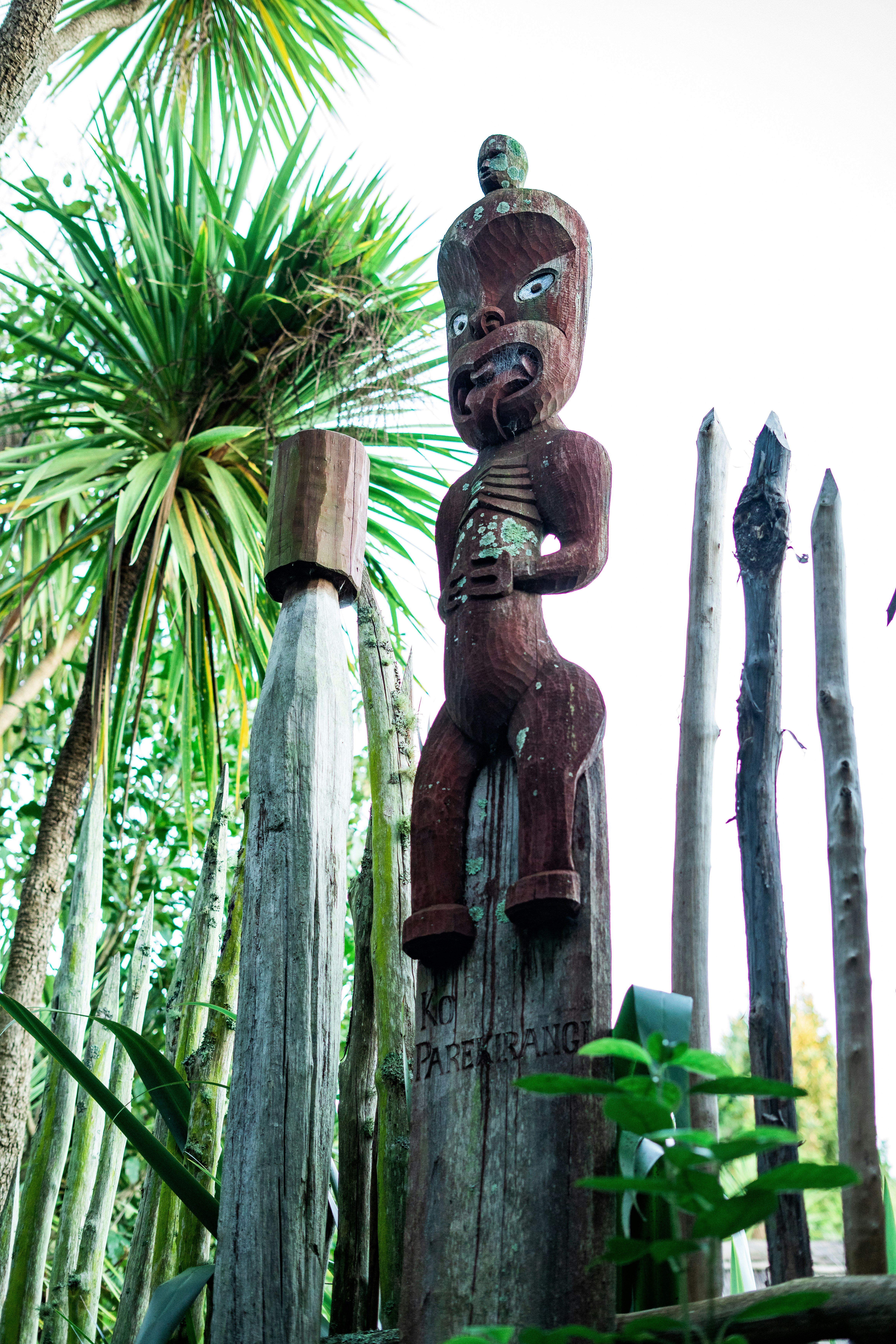 Photo by countingframez