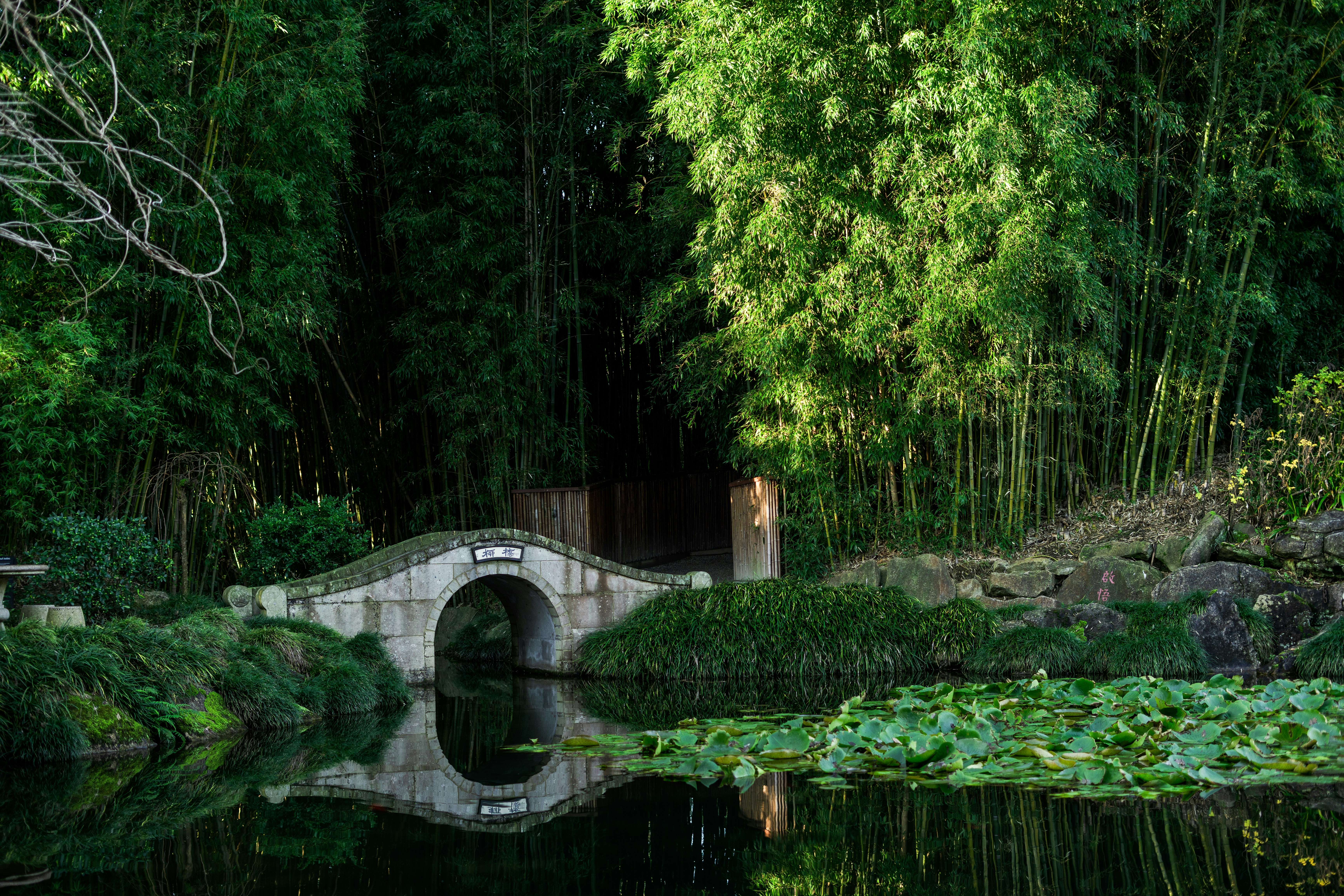 Photo by countingframez