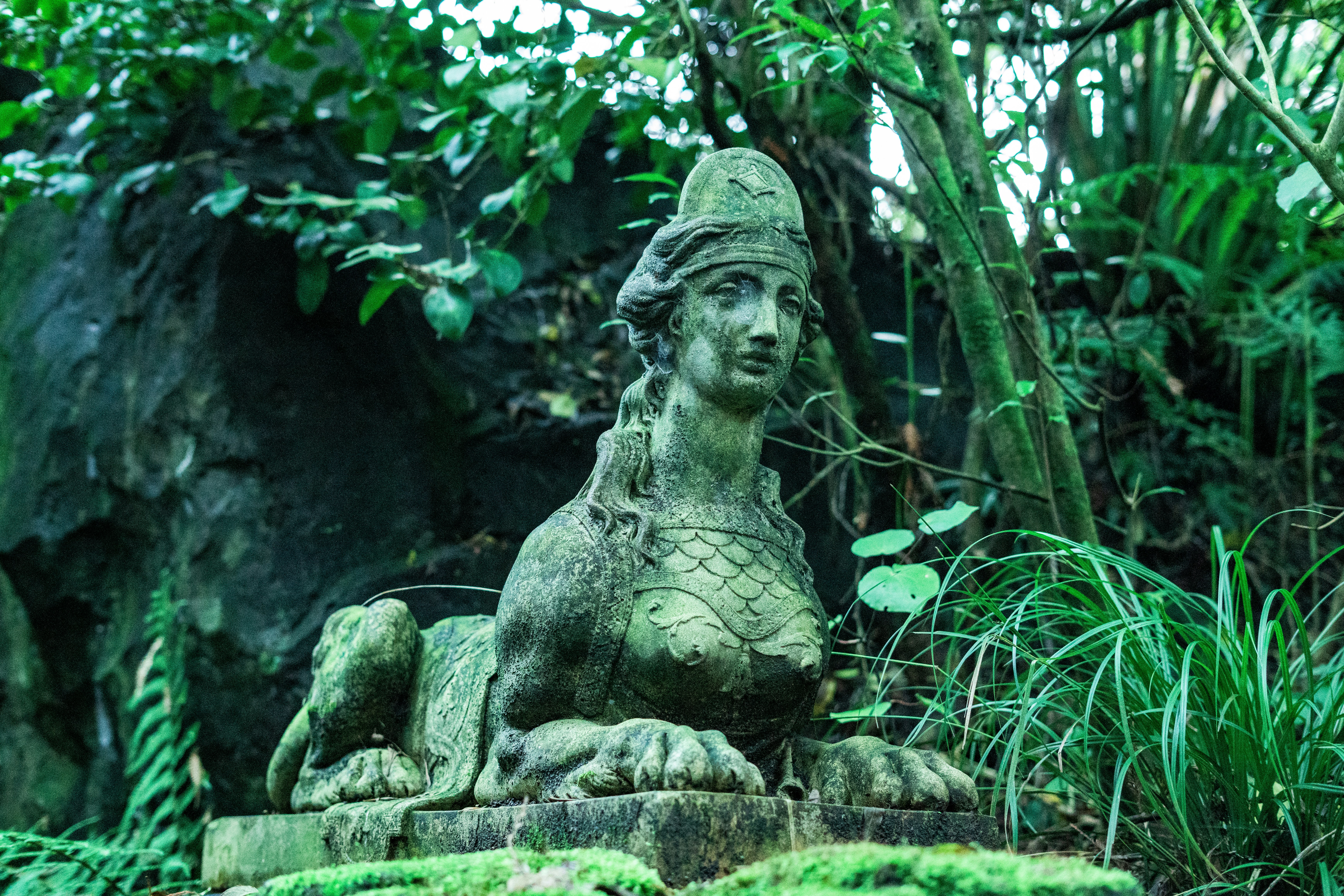 Photo by countingframez