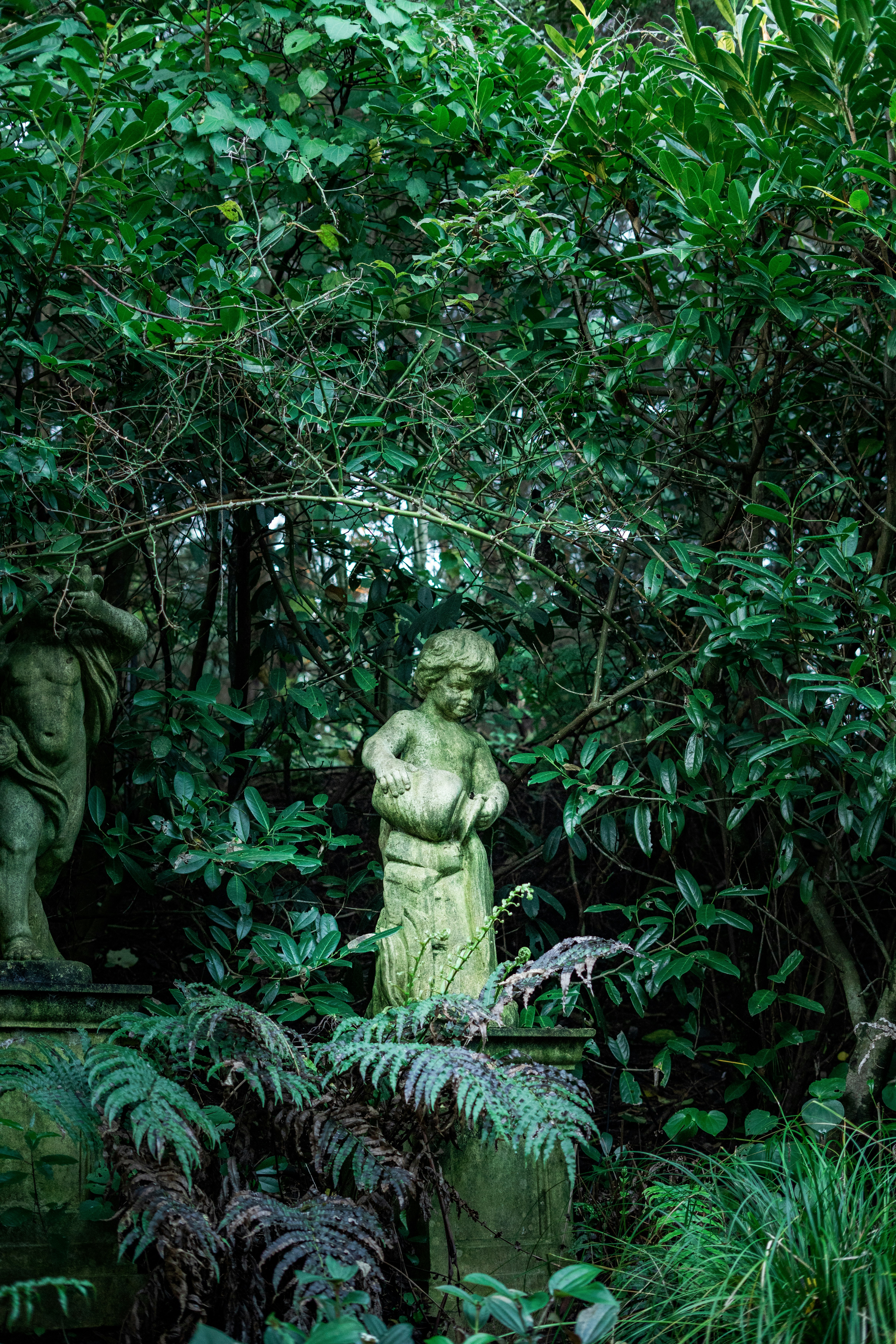 Photo by countingframez