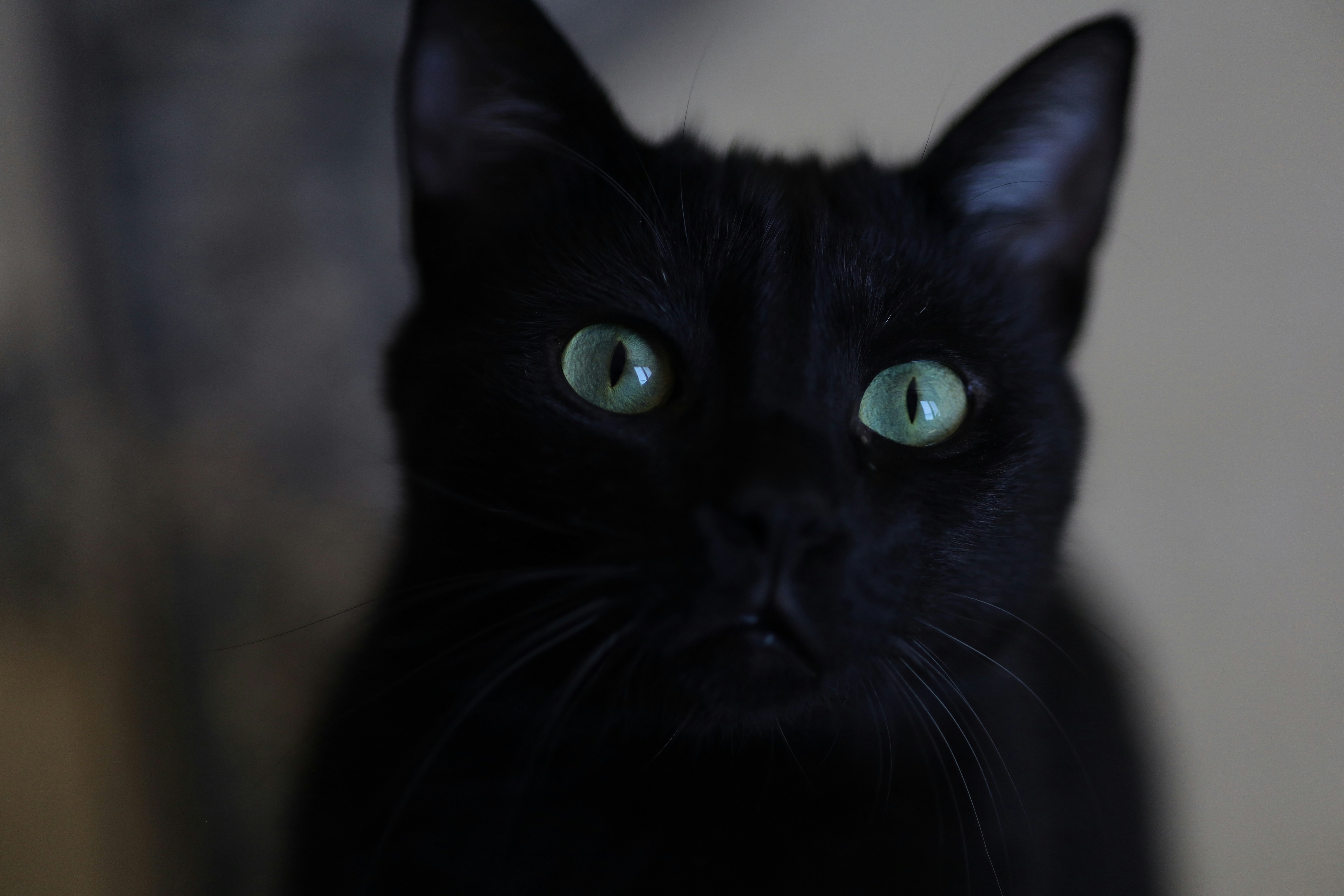 Photo by defneheybeli