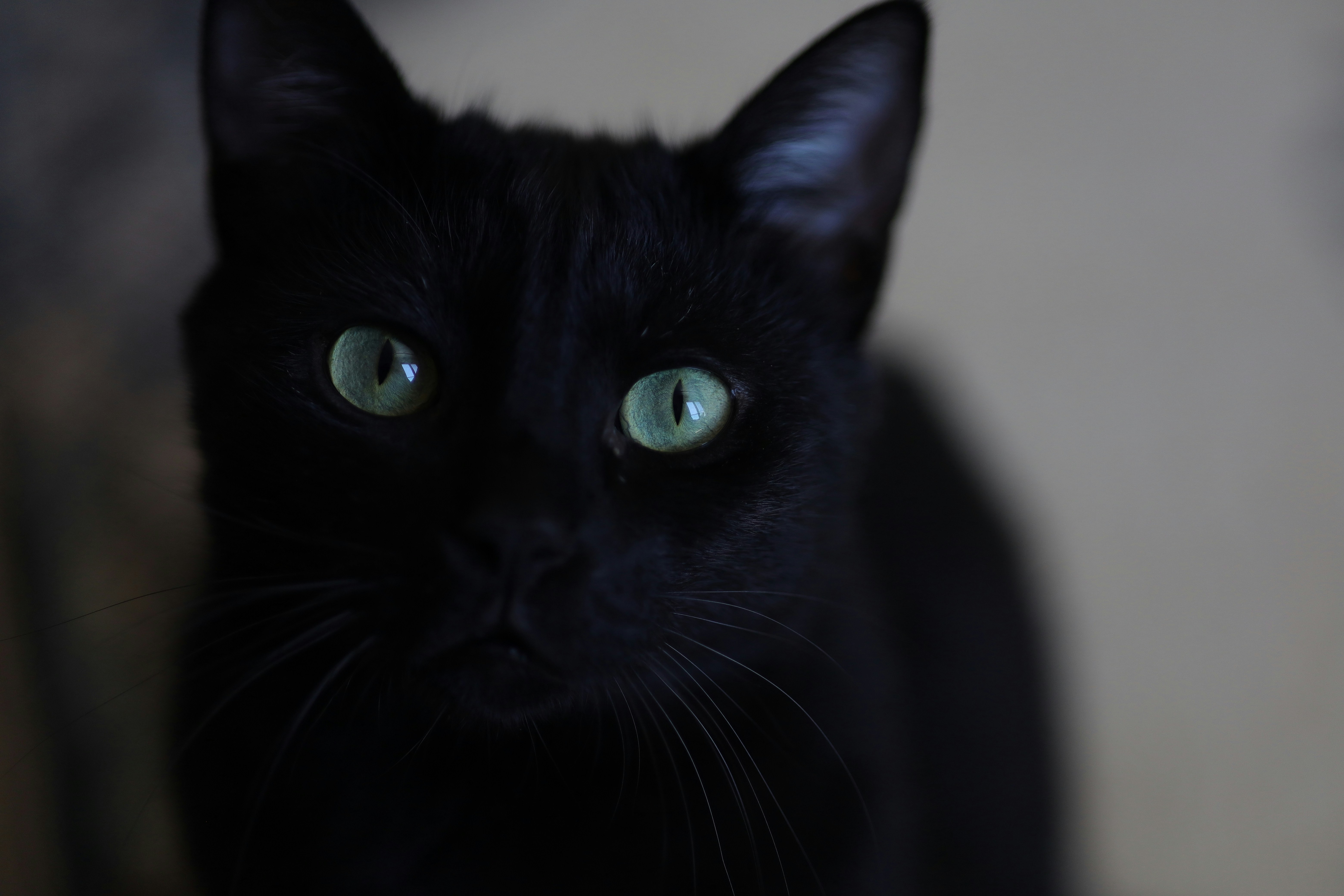 Photo by defneheybeli