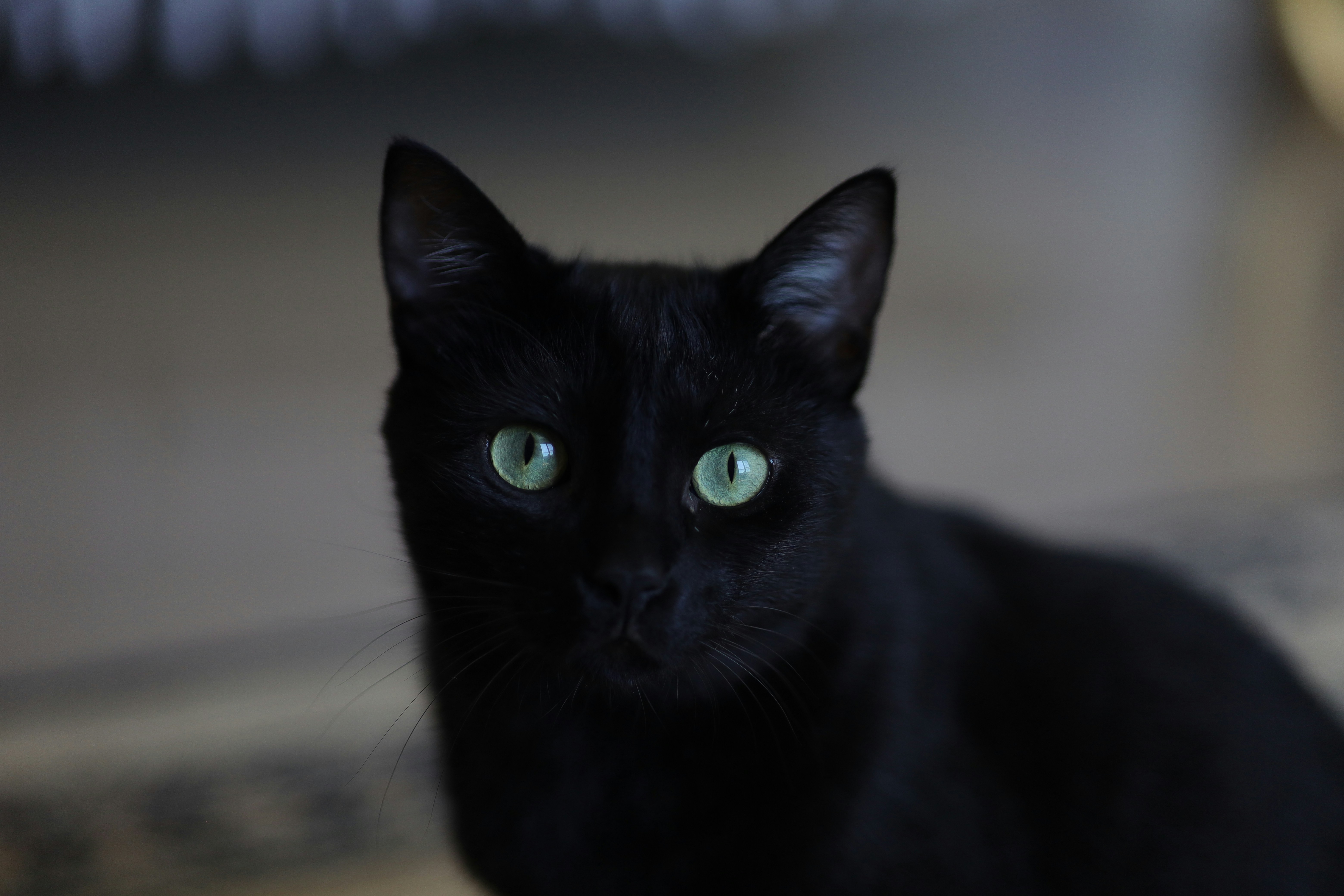 Photo by defneheybeli