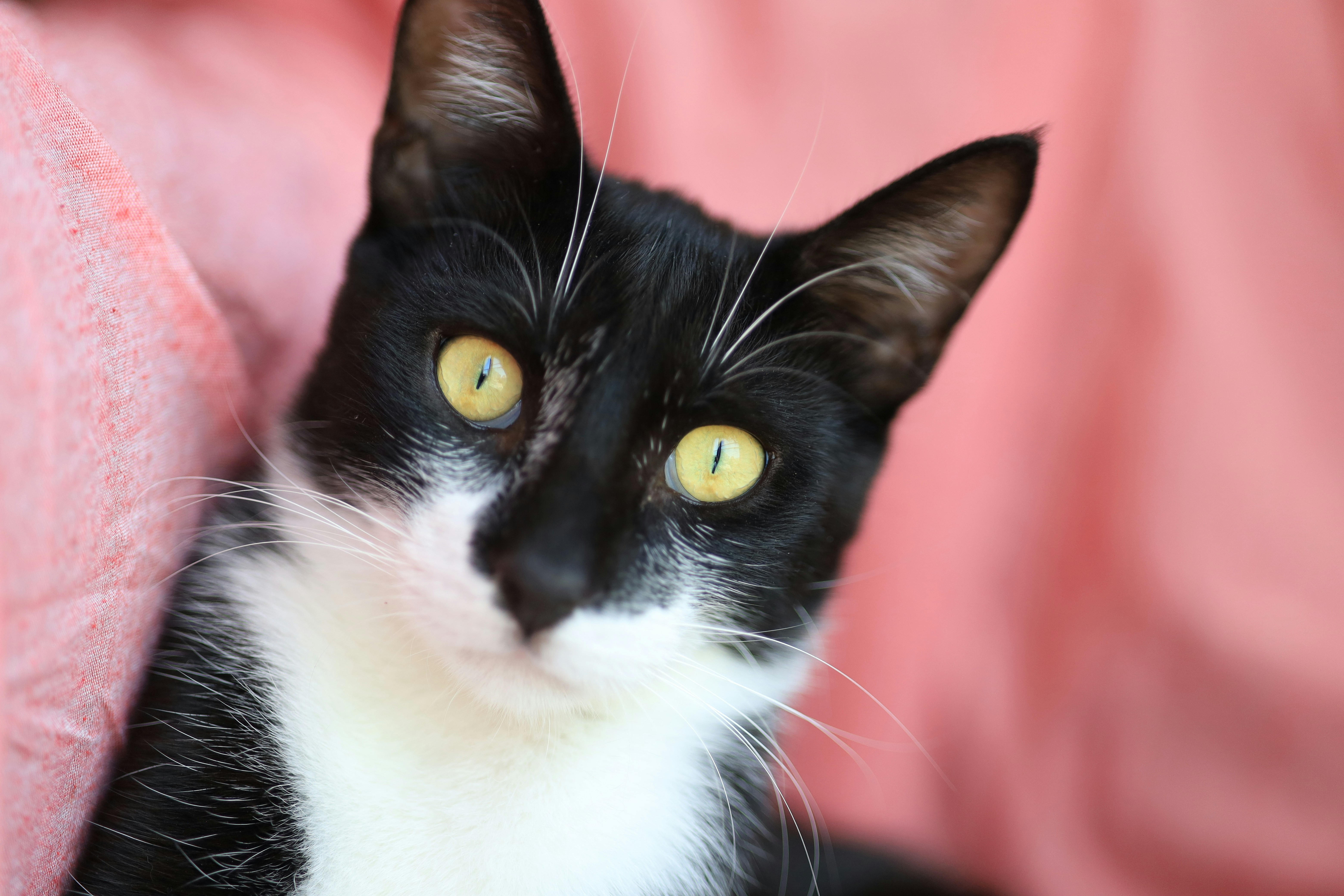 Photo by defneheybeli