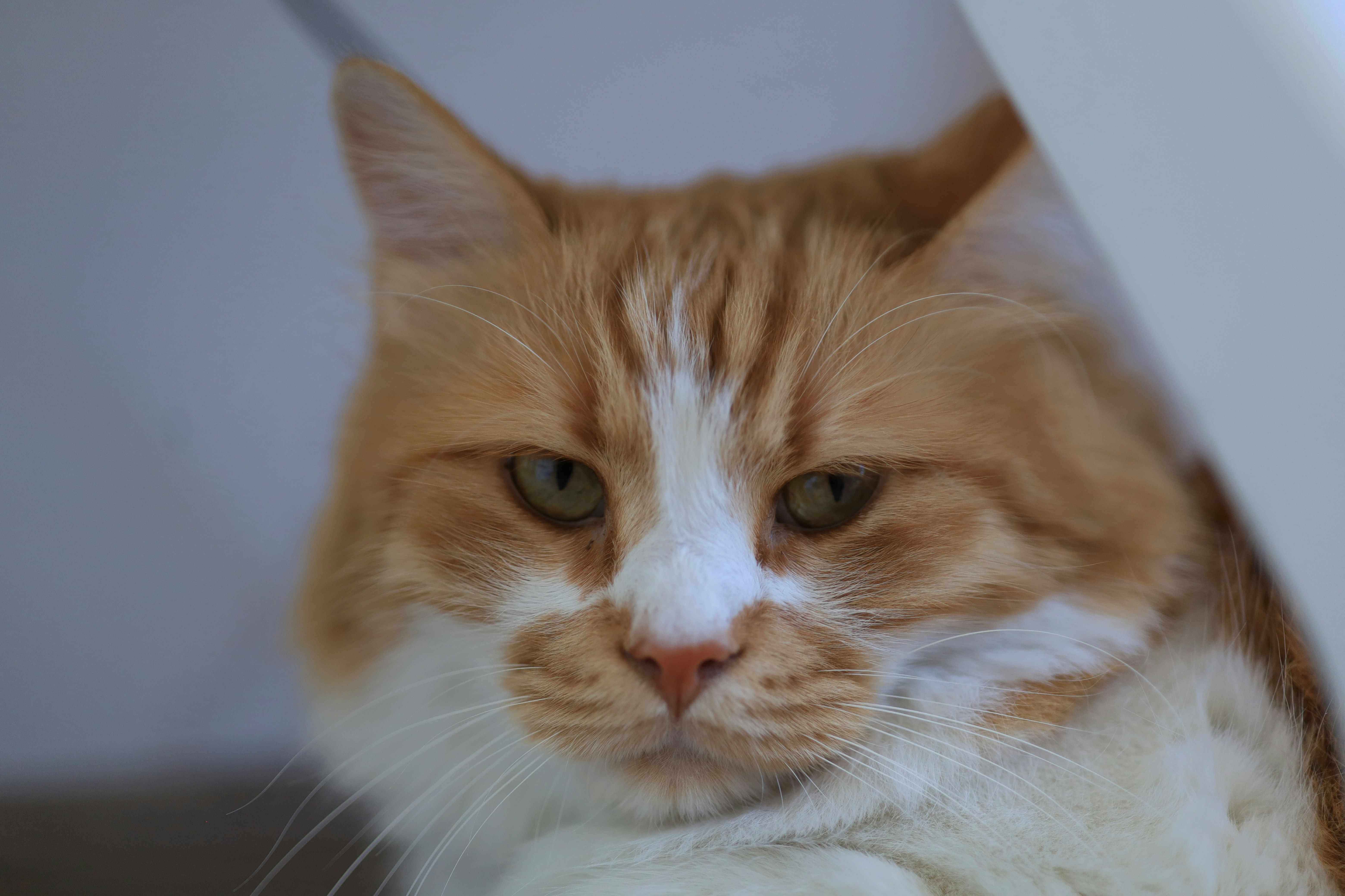 Photo by defneheybeli