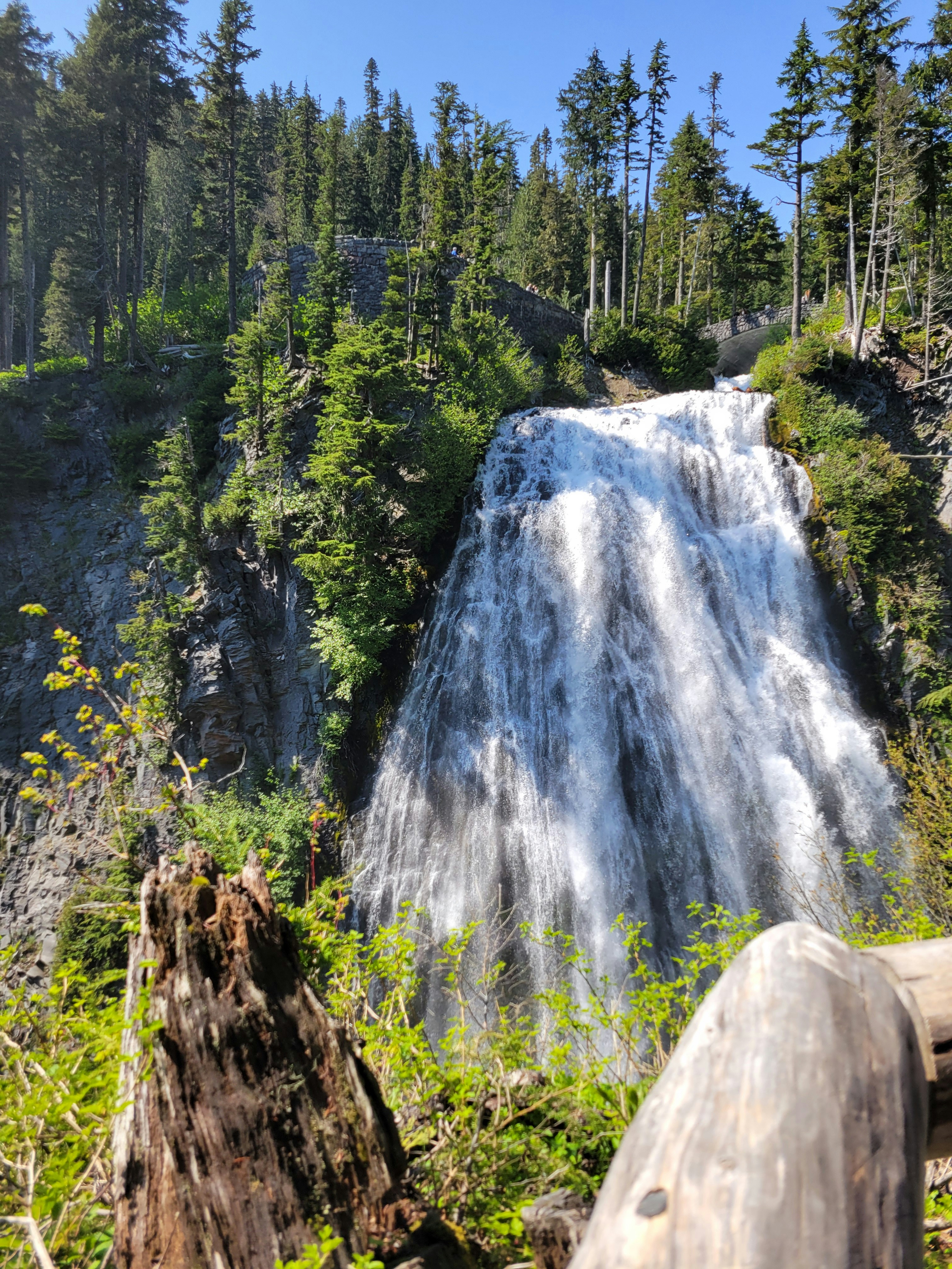 Photo by haripriya_k