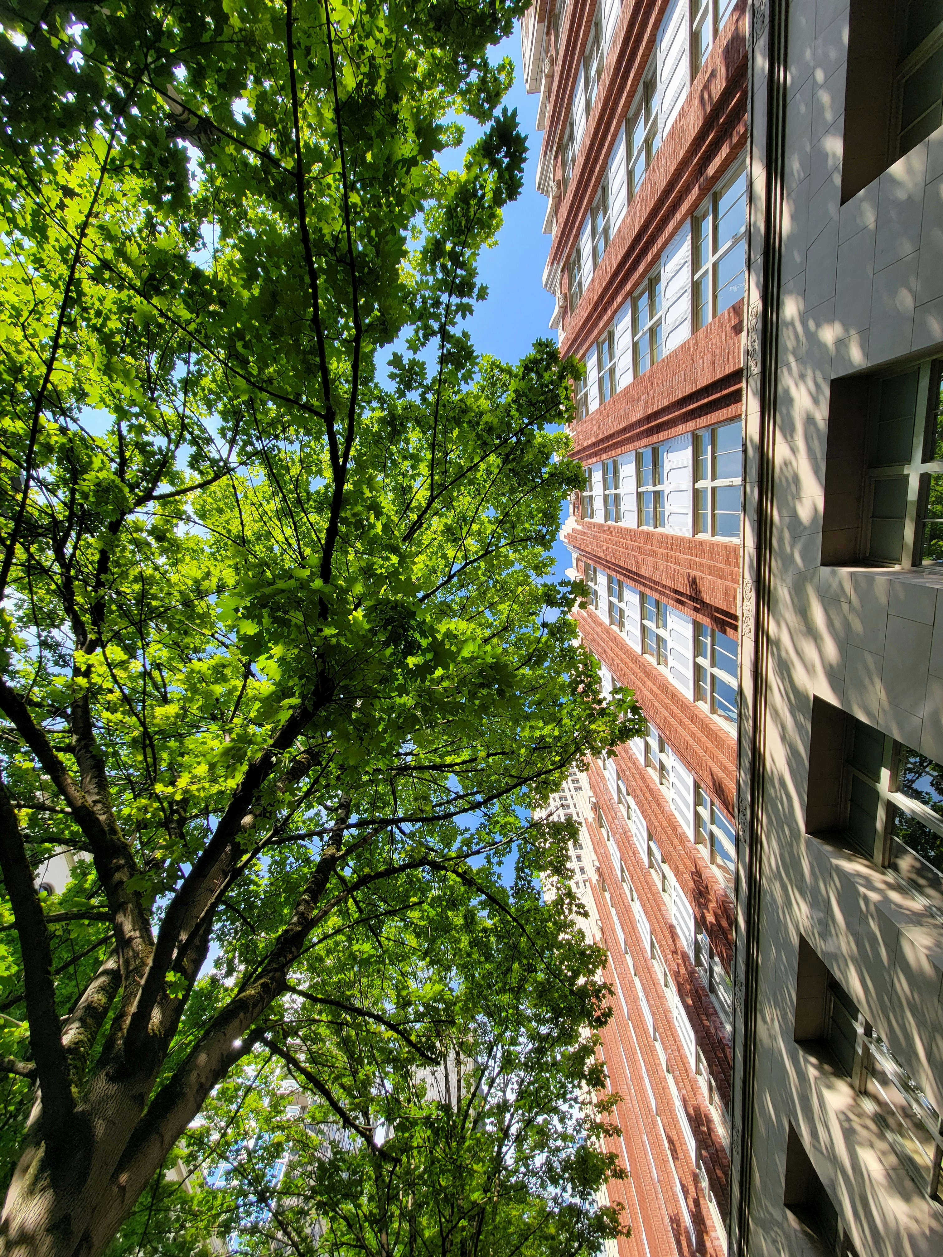 Photo by haripriya_k