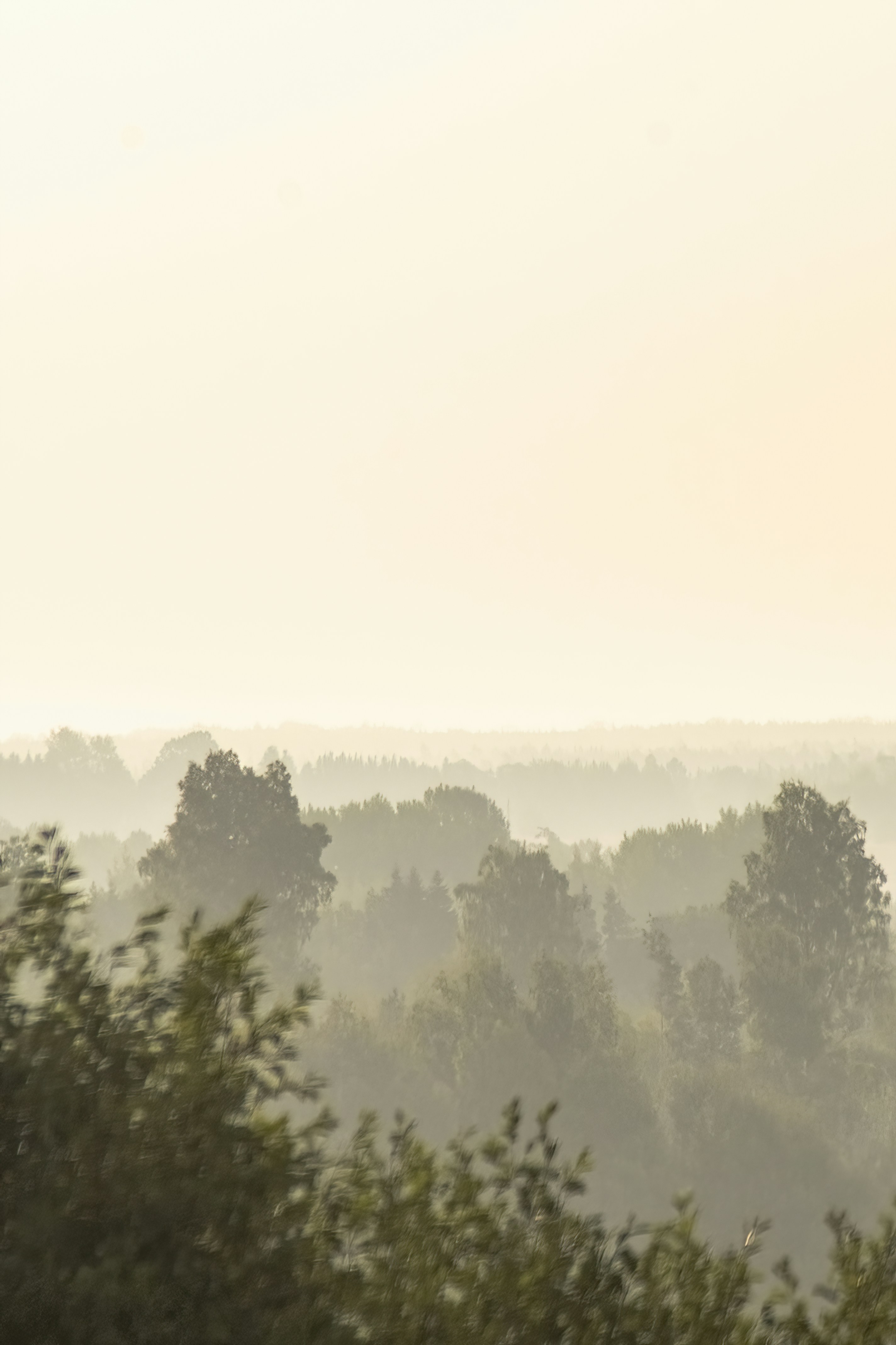 Photo by ainarscekuls