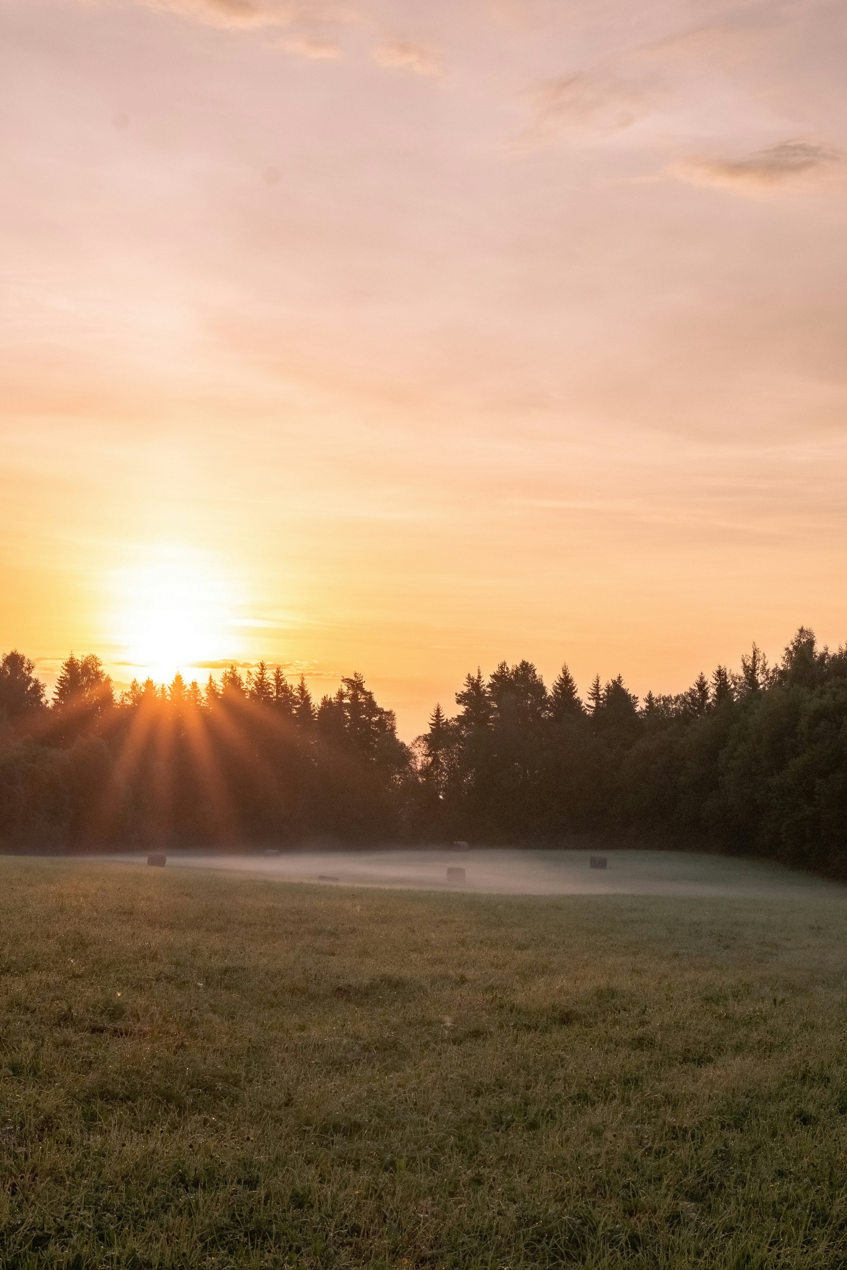 Photo by ainarscekuls