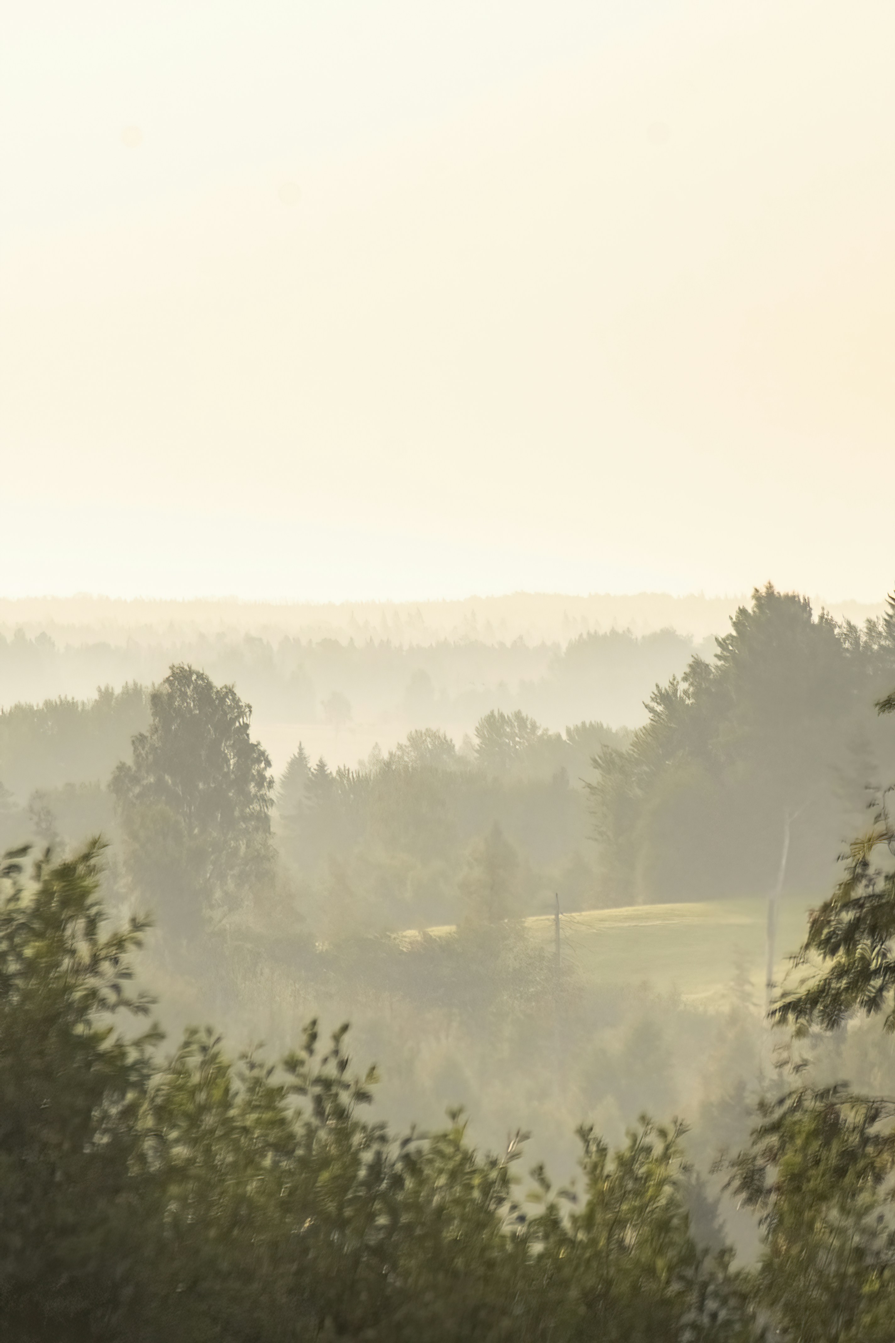 Photo by ainarscekuls