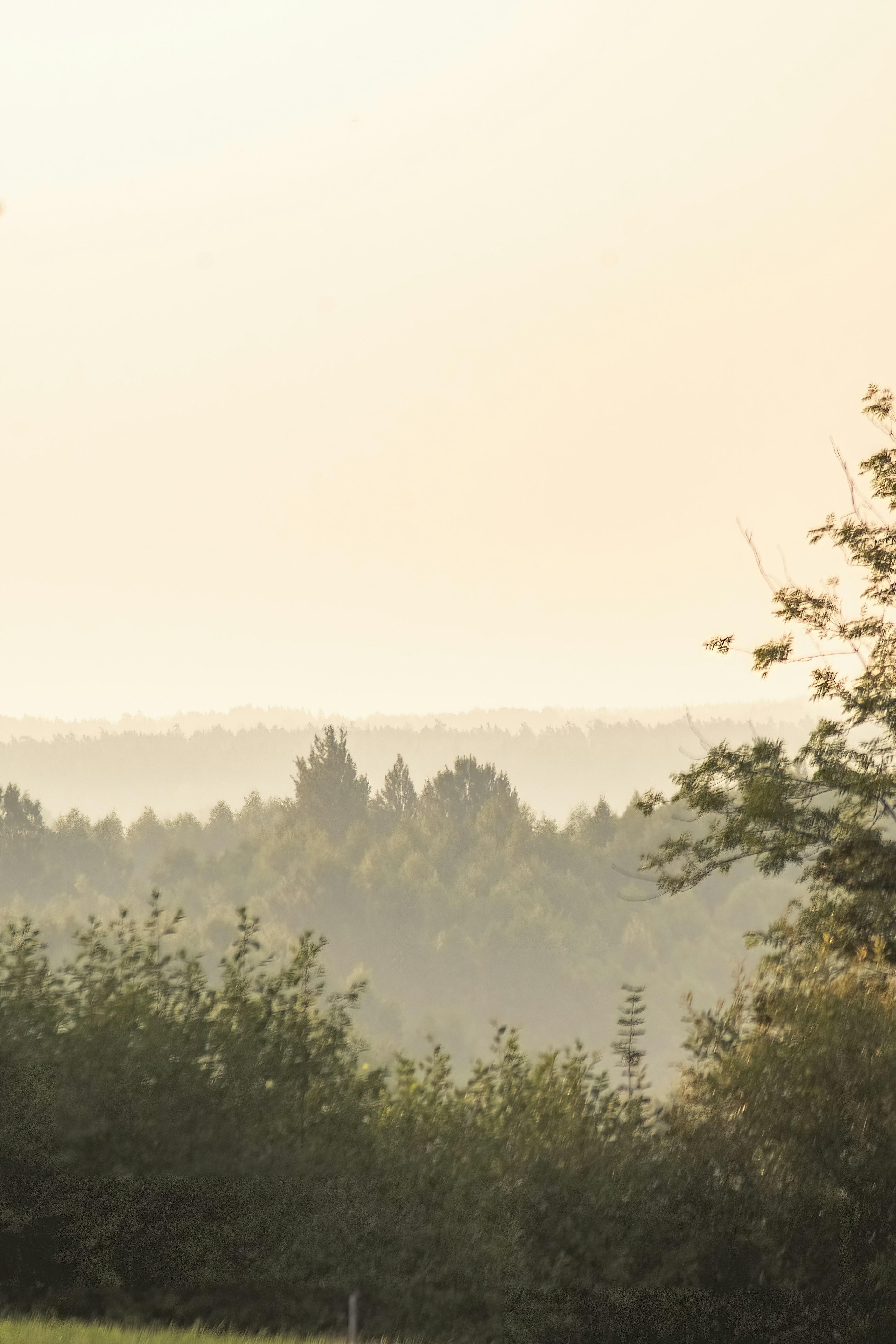 Photo by ainarscekuls