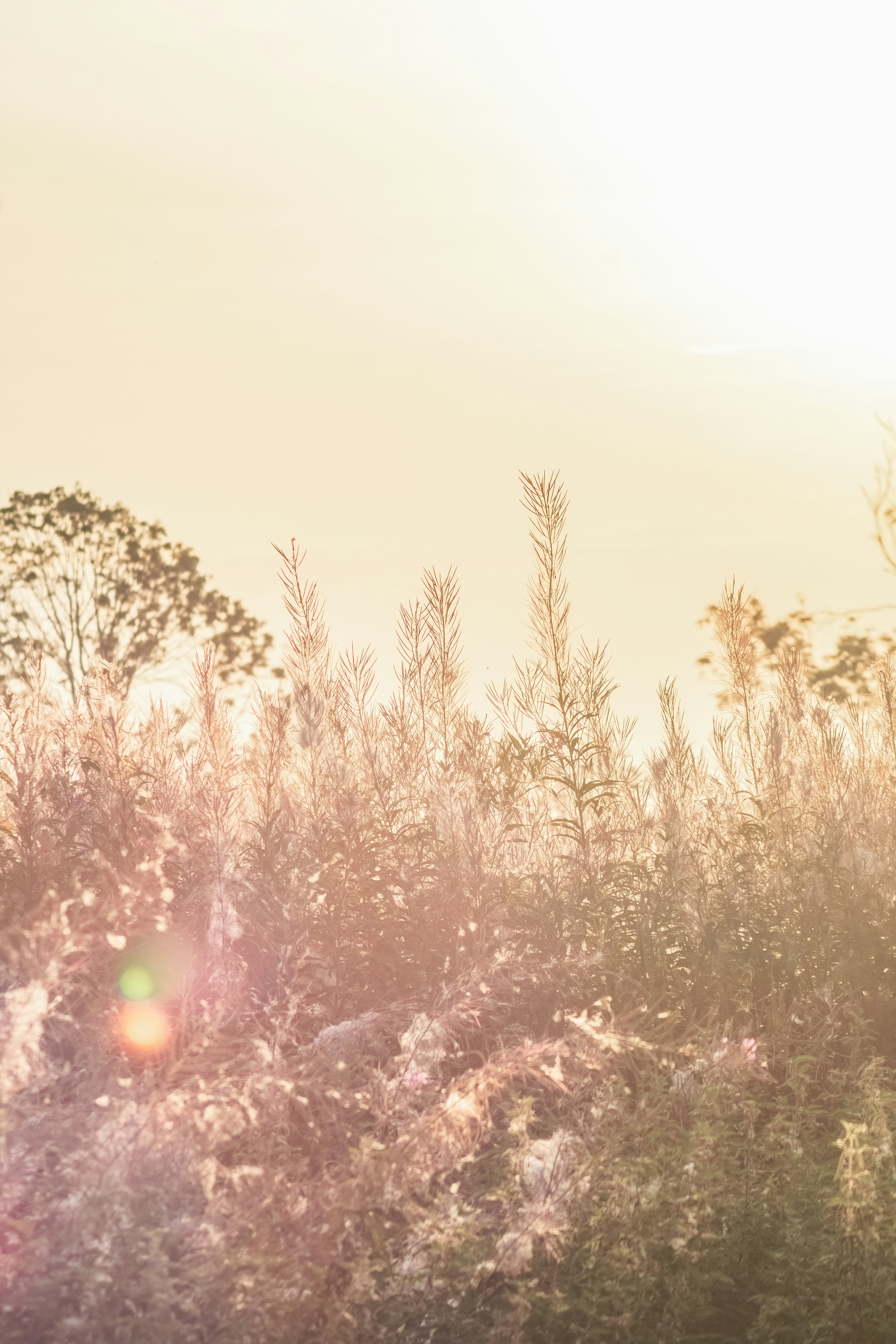 Photo by ainarscekuls