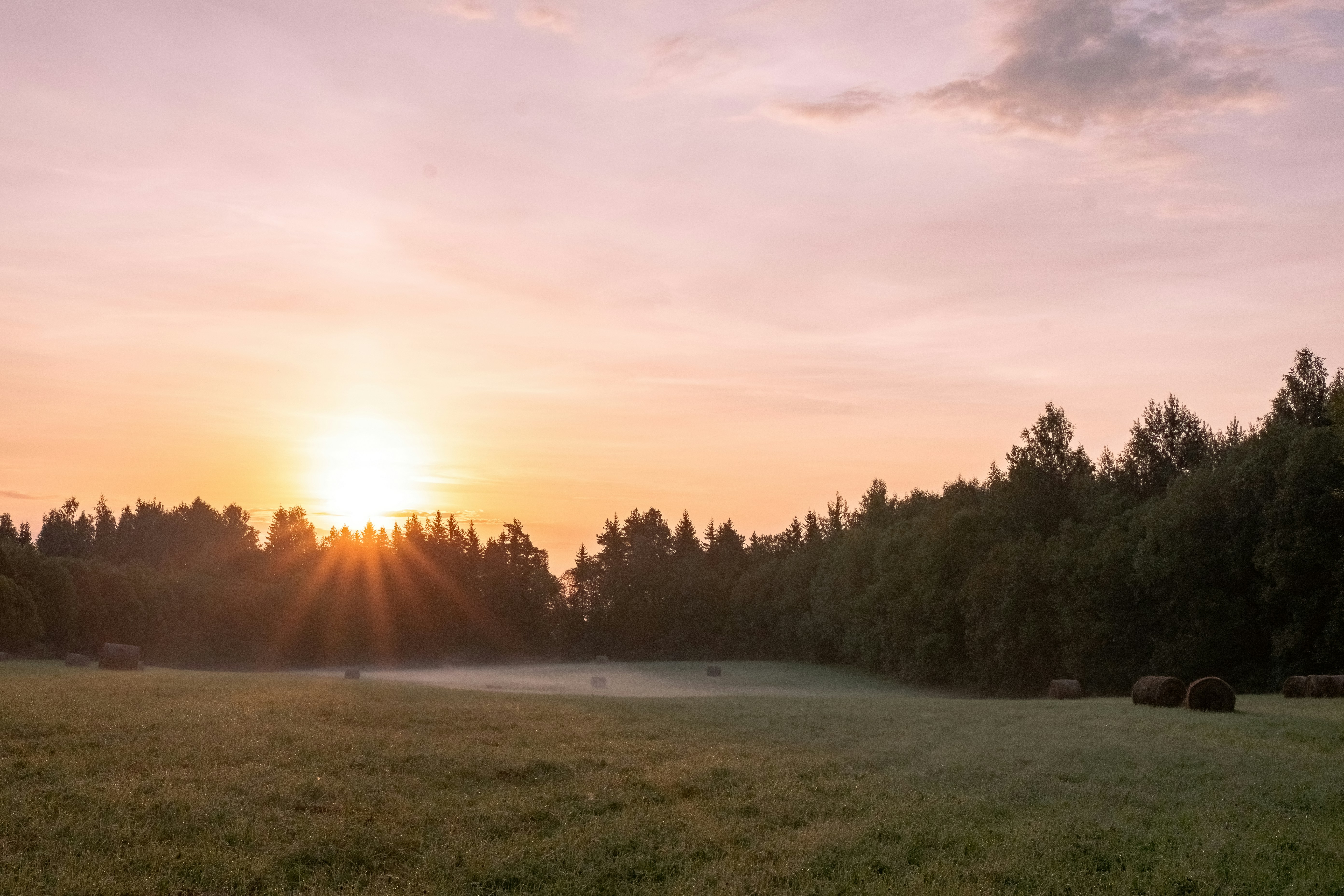 Photo by ainarscekuls