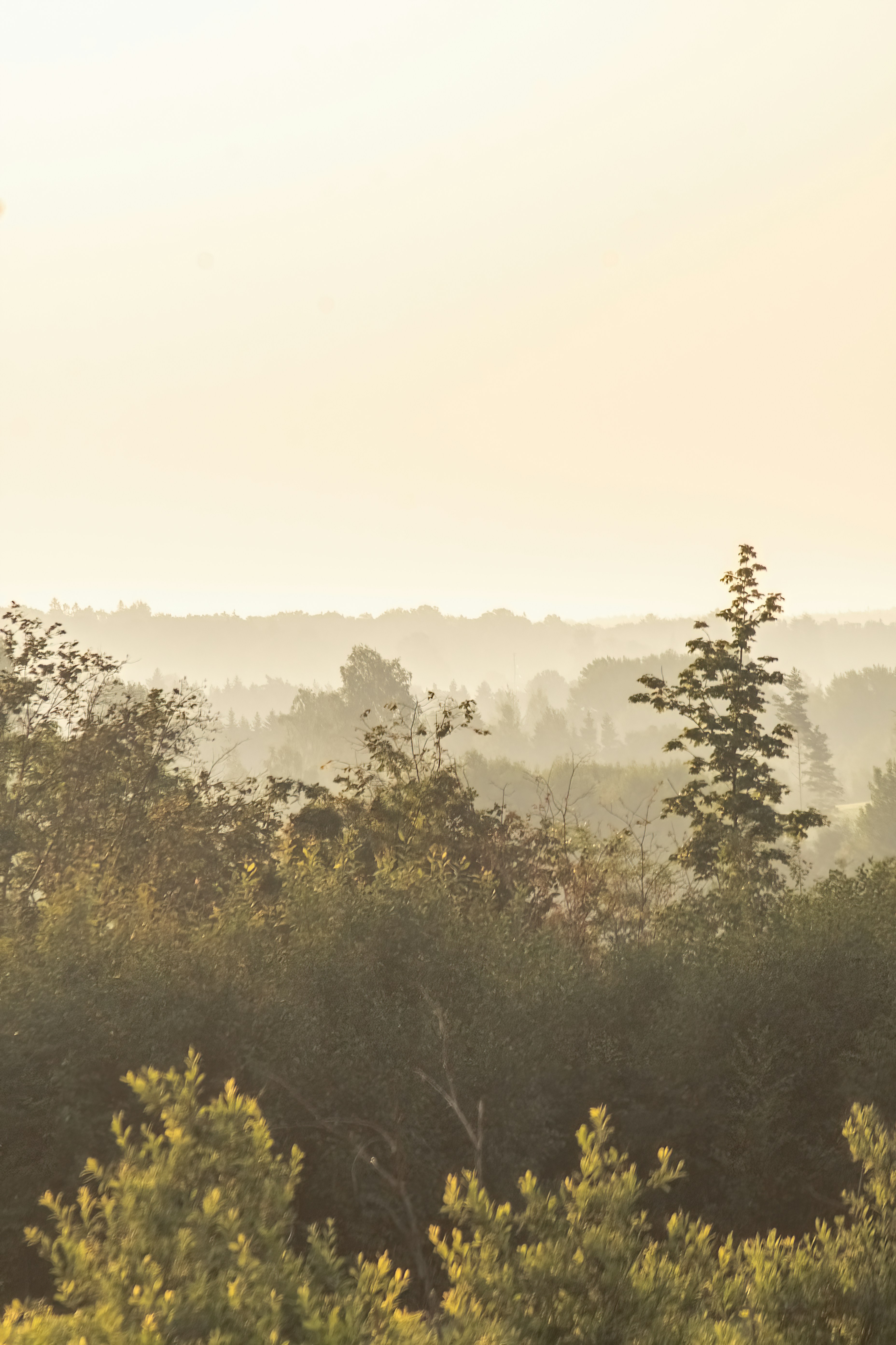 Photo by ainarscekuls