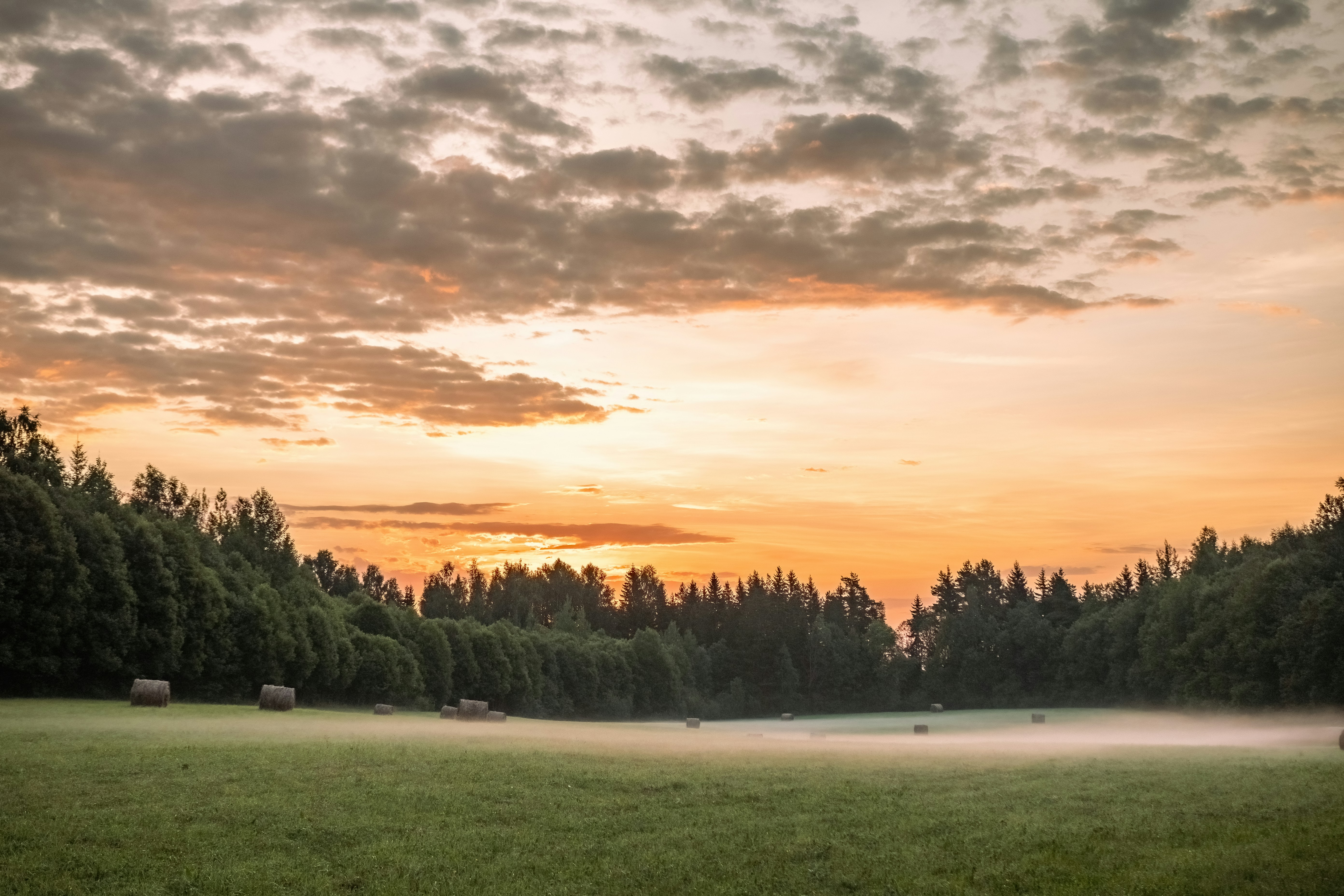 Photo by ainarscekuls