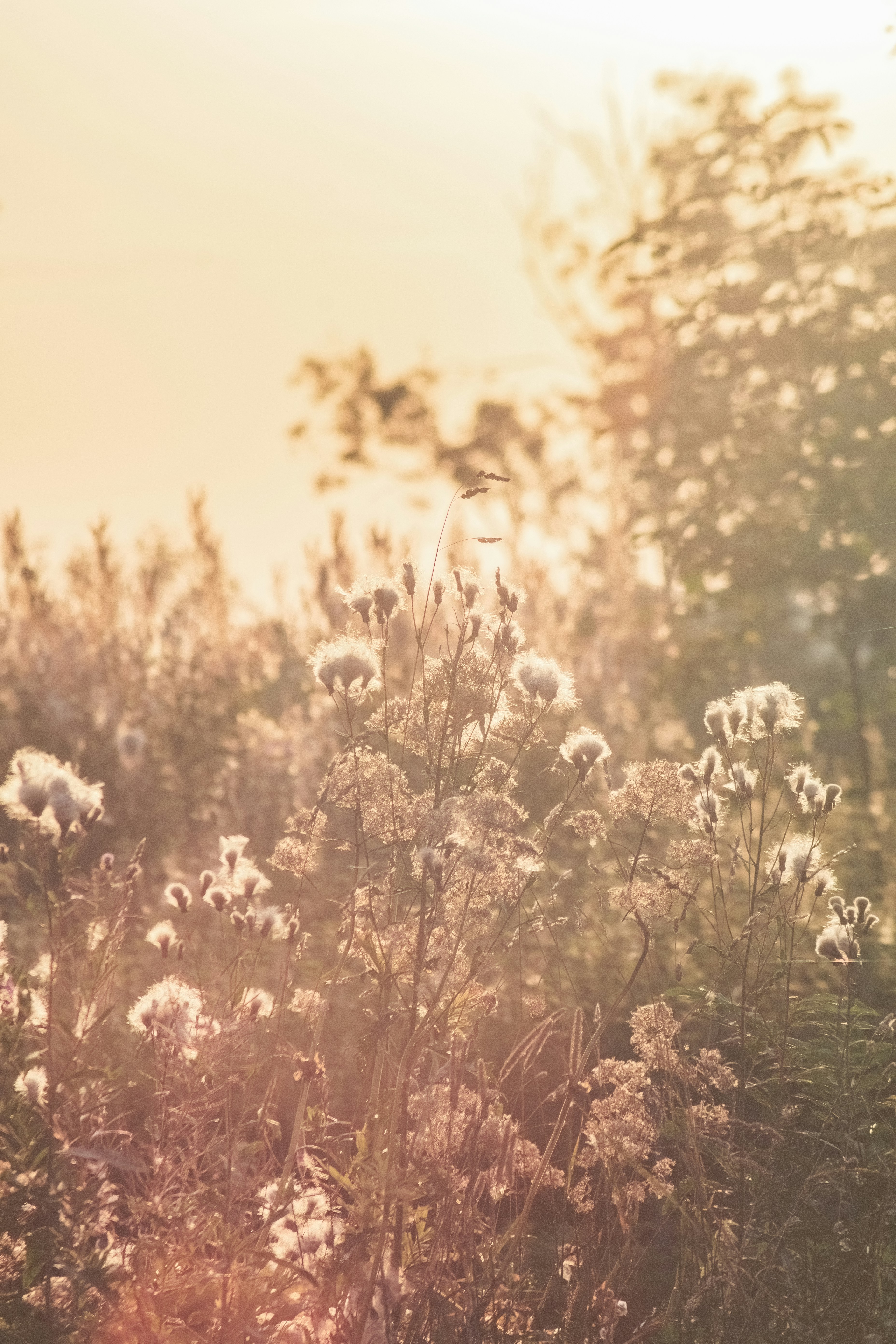 Photo by ainarscekuls