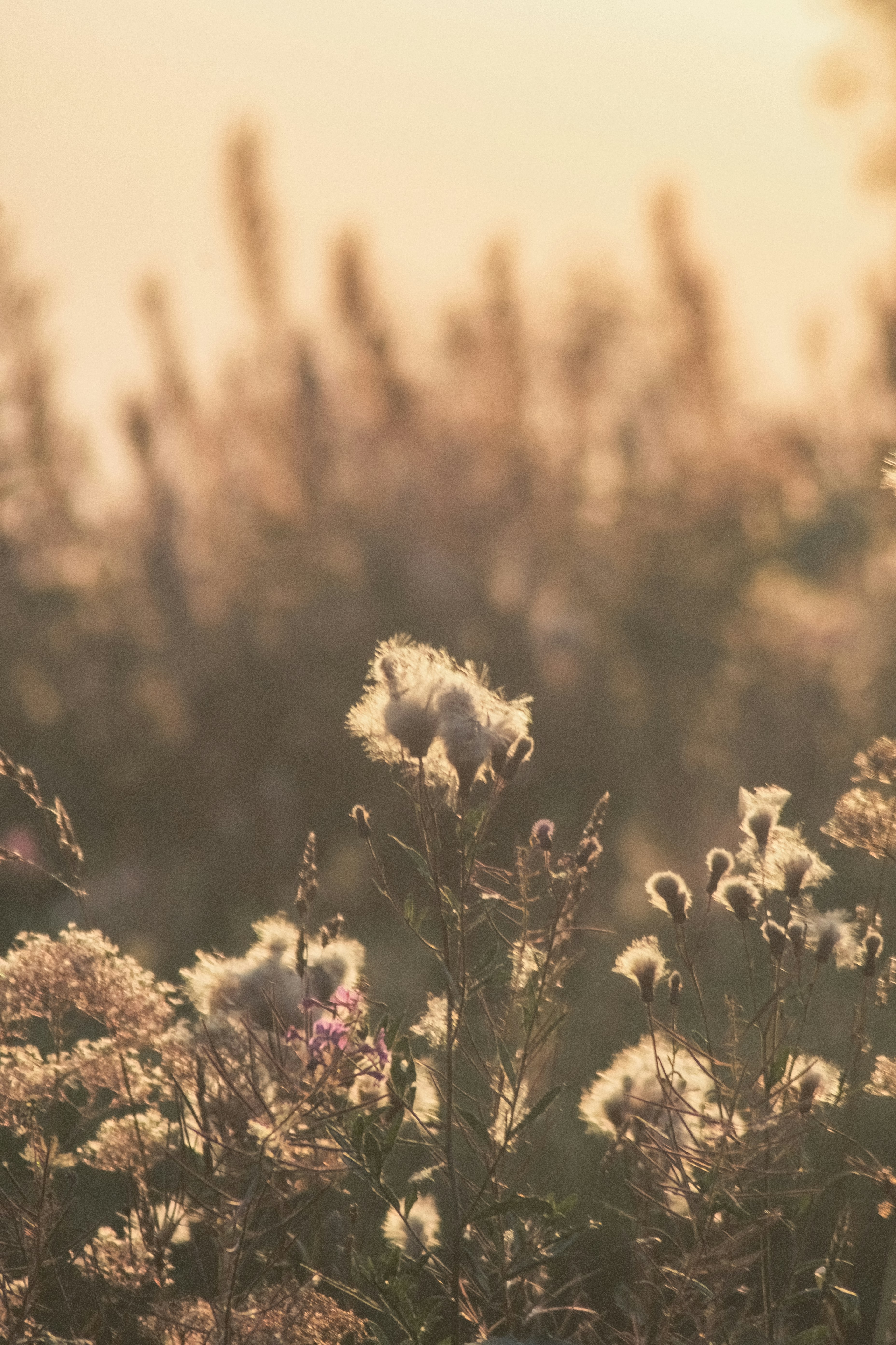 Photo by ainarscekuls