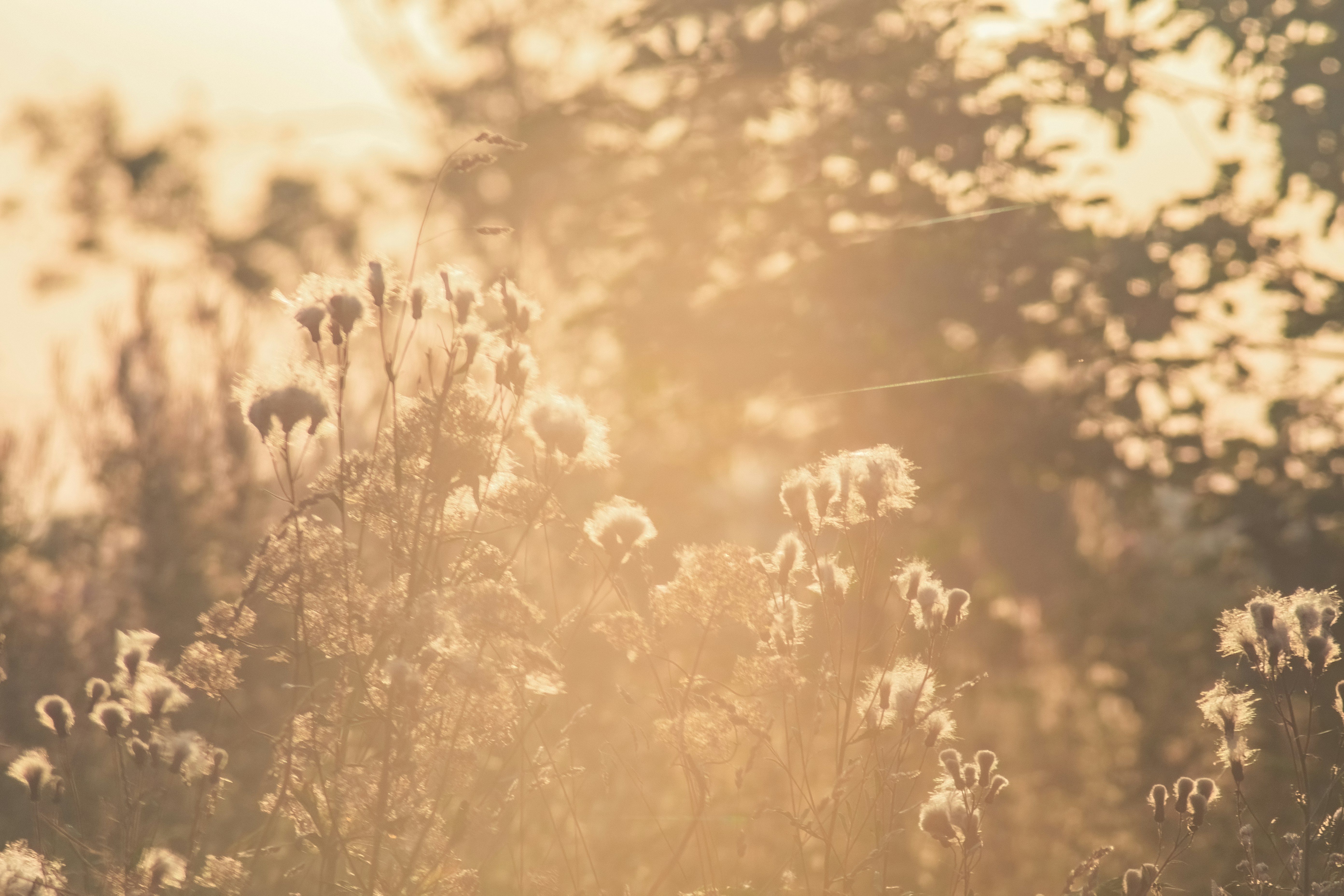 Photo by ainarscekuls