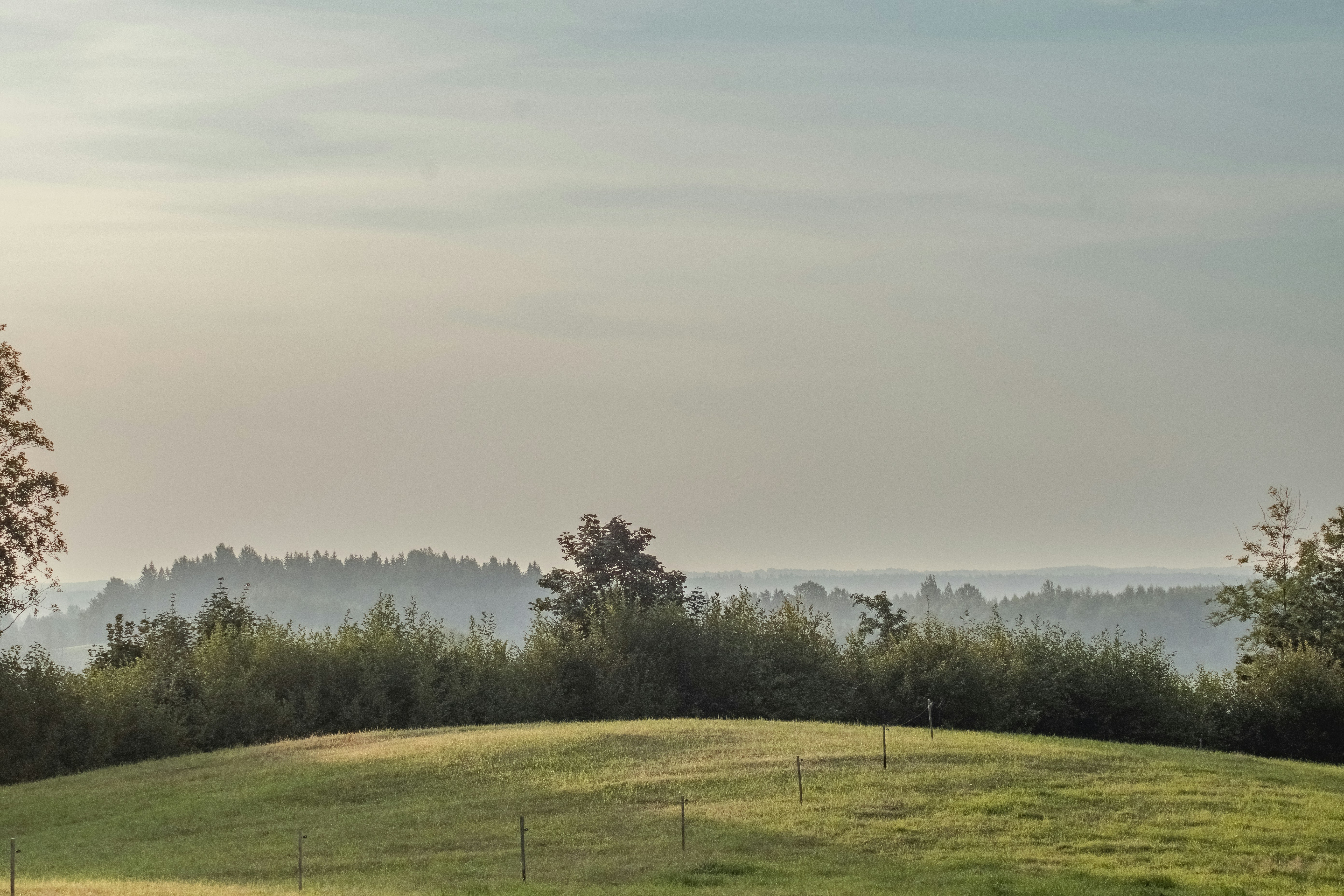 Photo by ainarscekuls