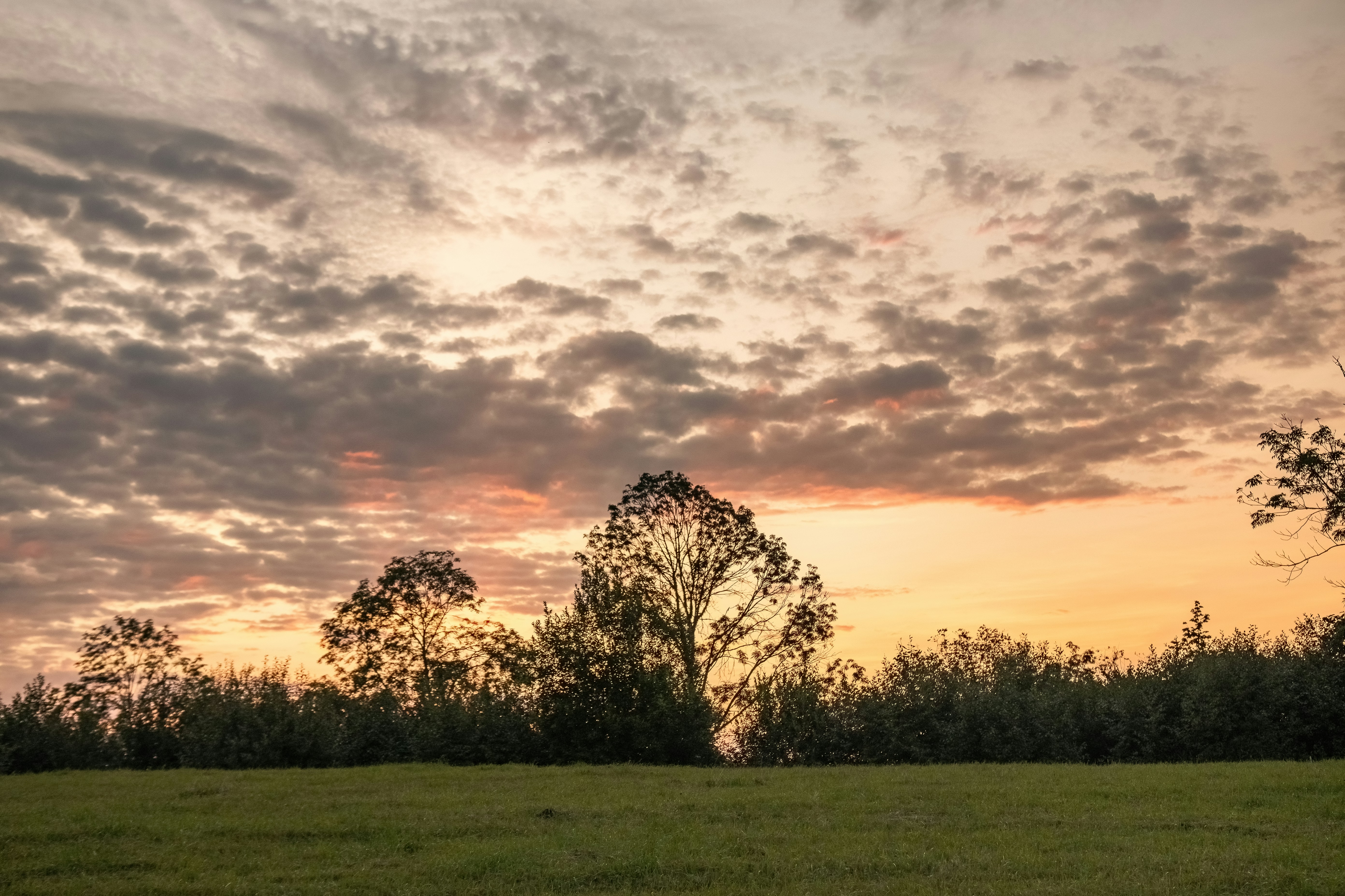 Photo by ainarscekuls