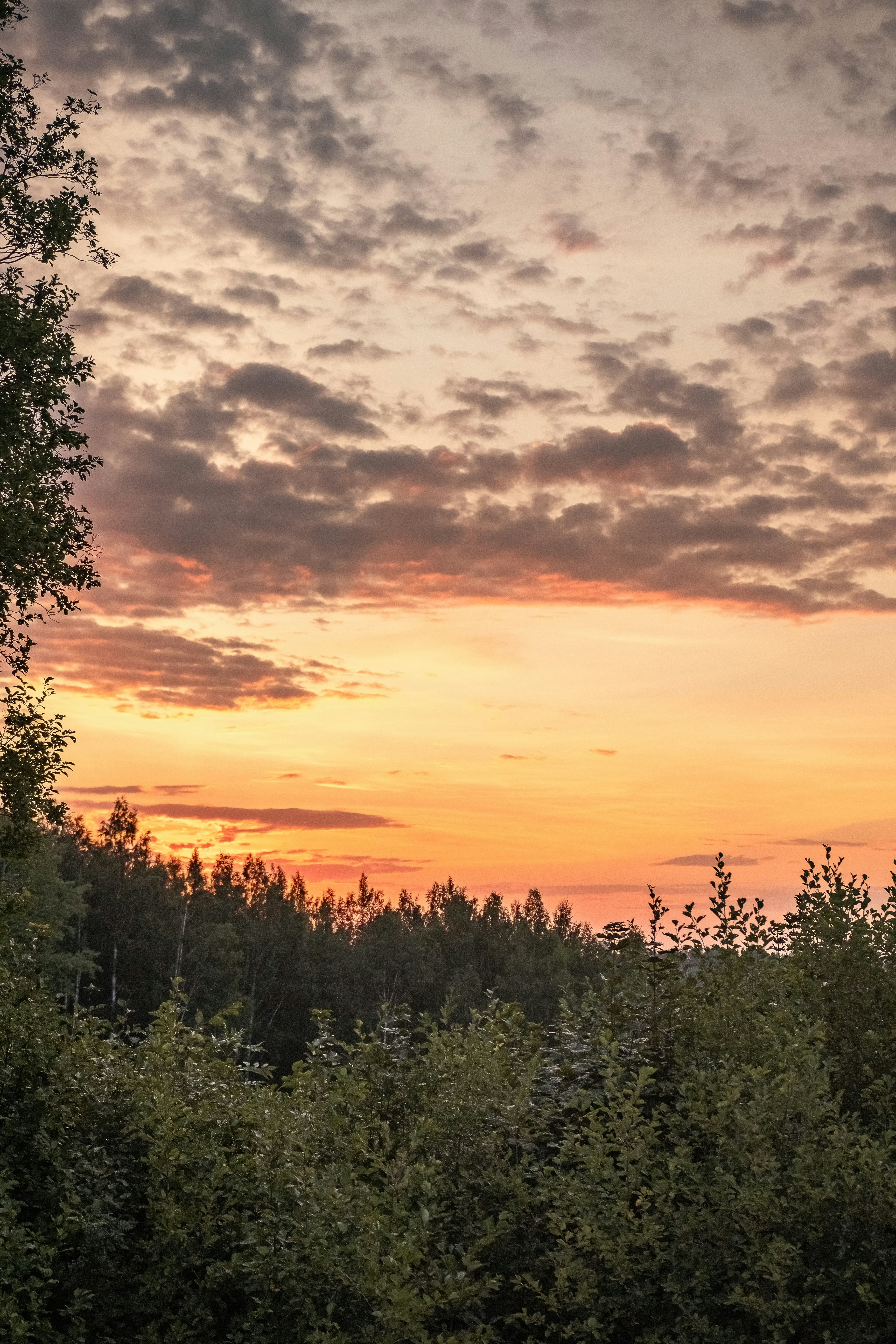 Photo by ainarscekuls