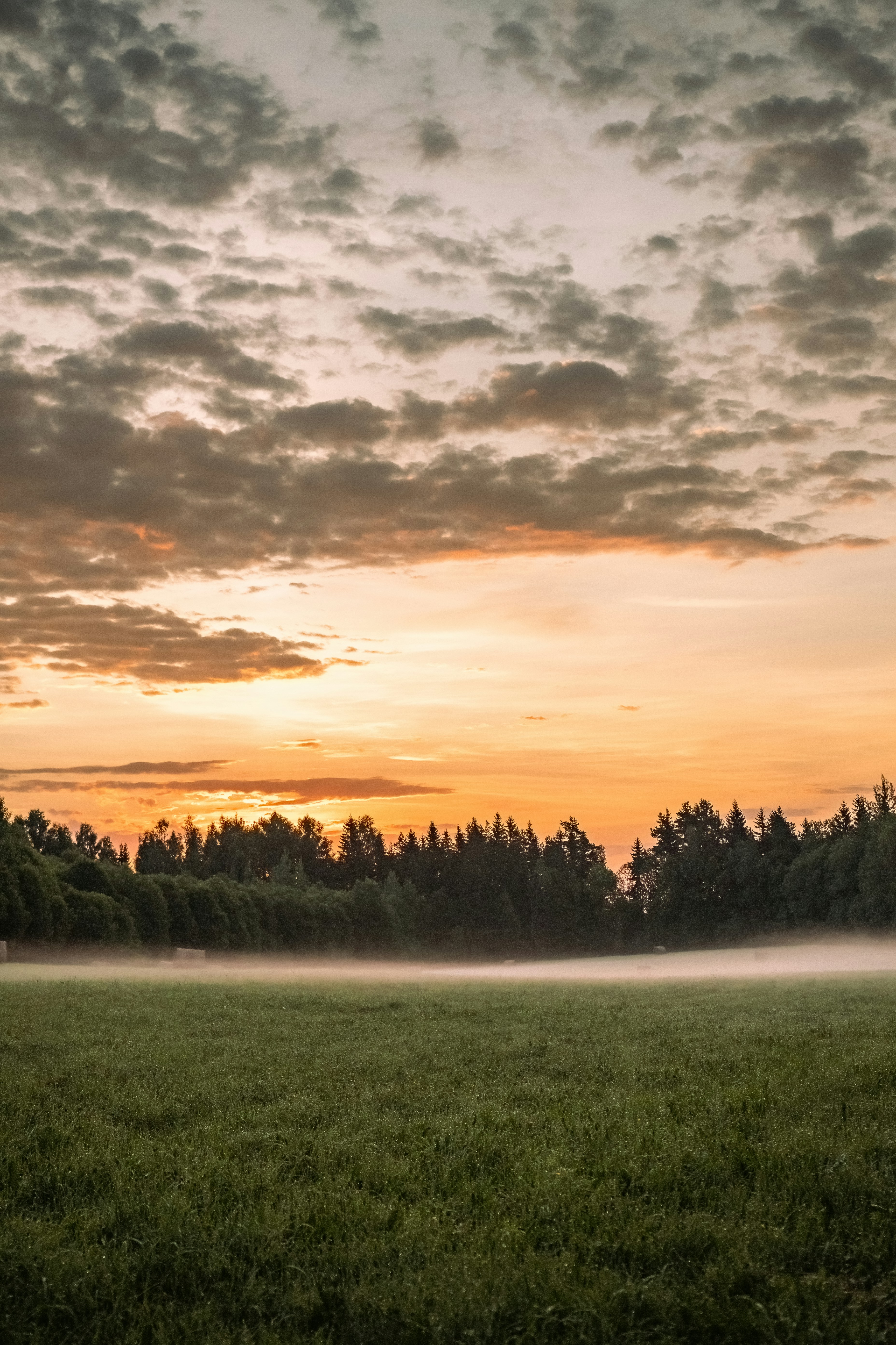 Photo by ainarscekuls