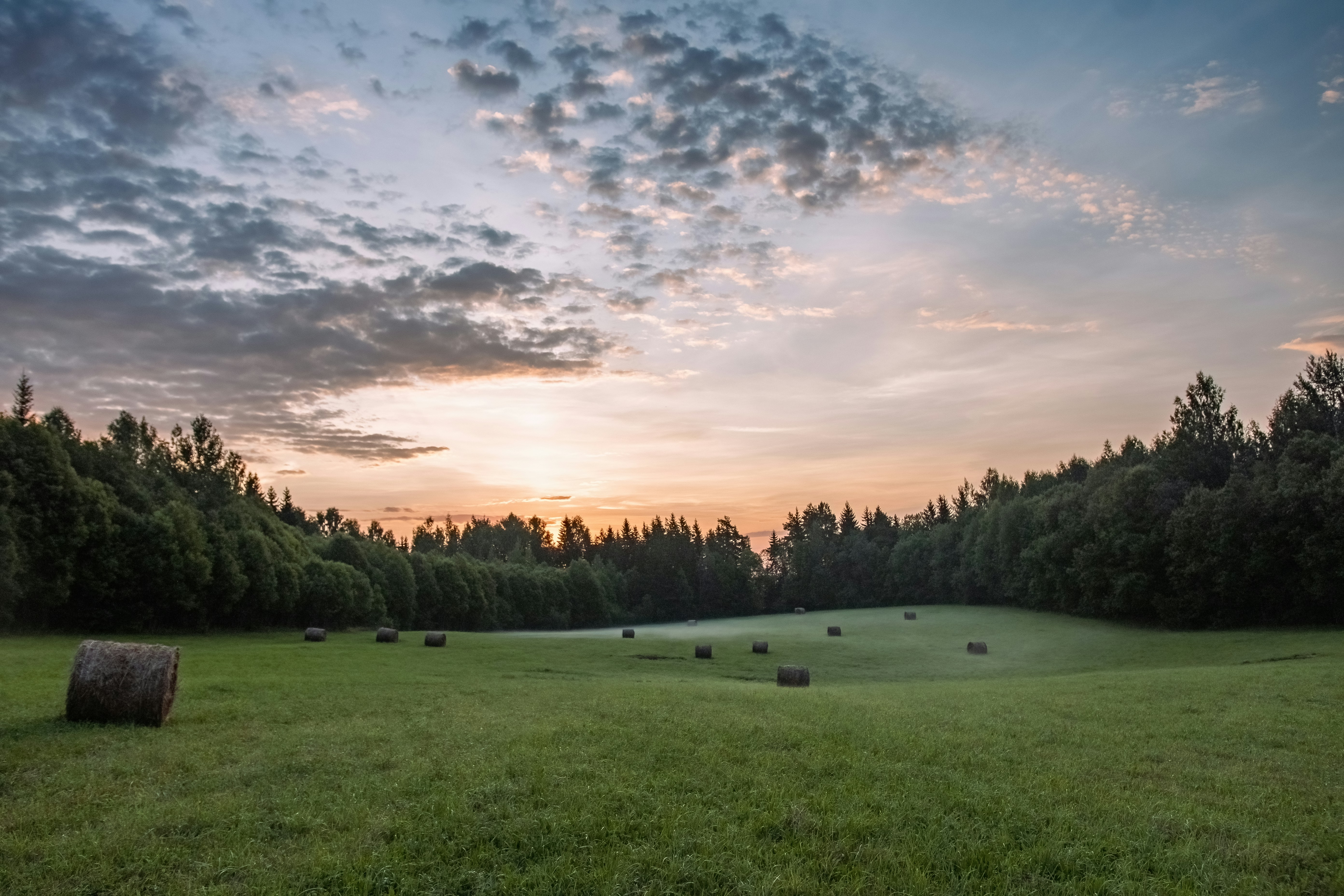 Photo by ainarscekuls