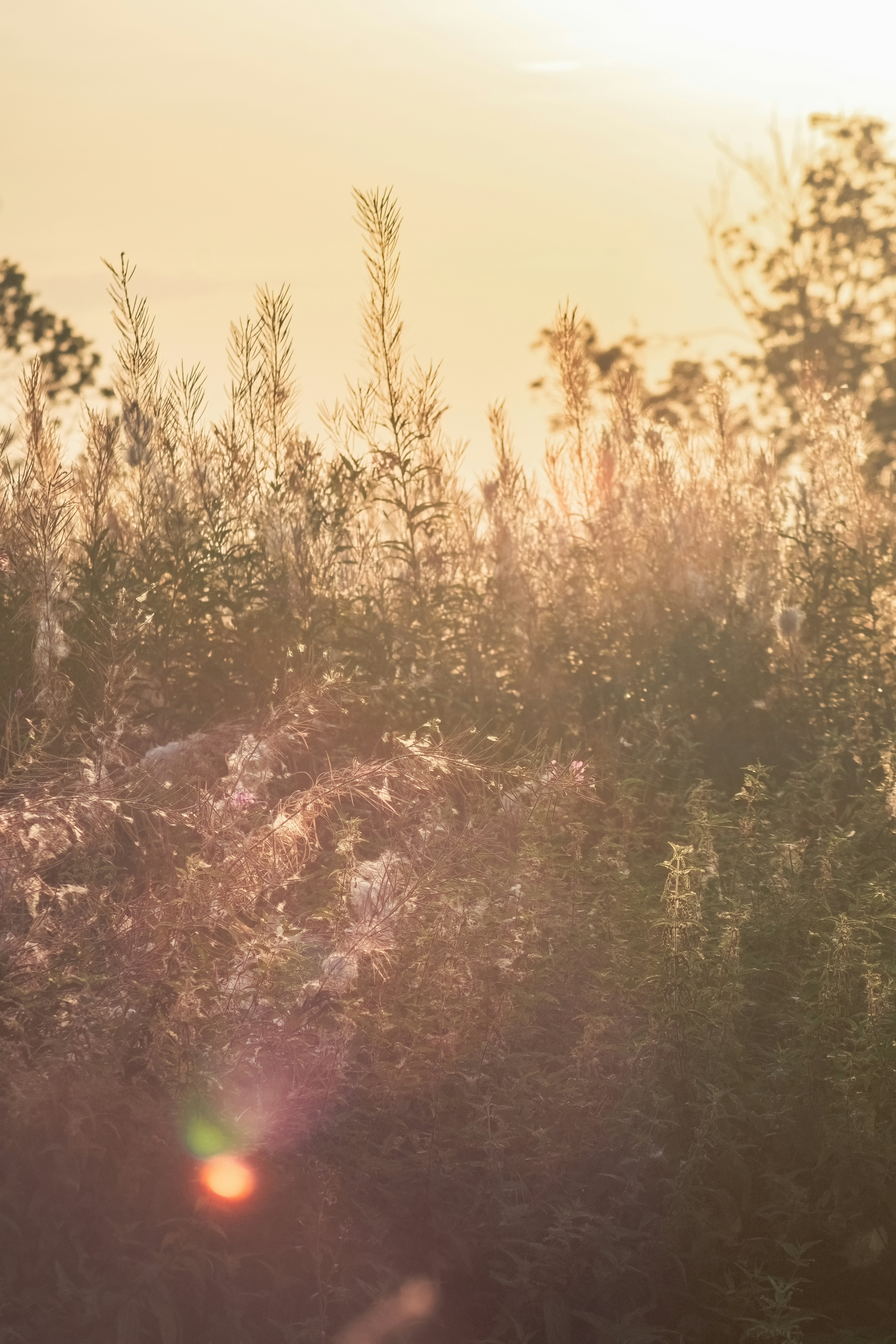 Photo by ainarscekuls