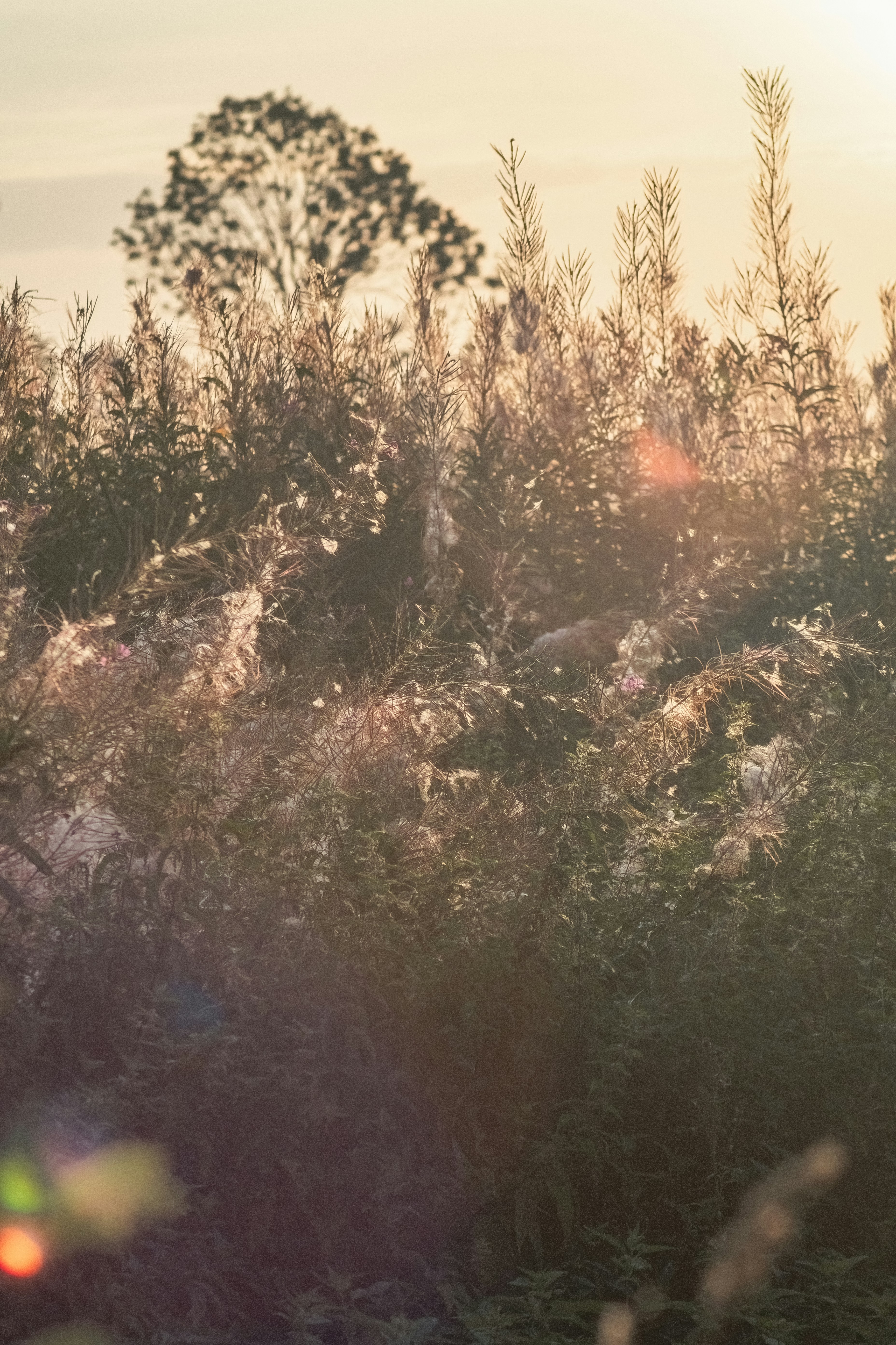 Photo by ainarscekuls