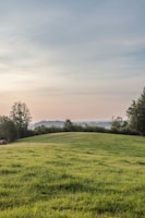 Green field with trees under a cloudy sky.