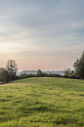 Green field with trees under a cloudy sky.